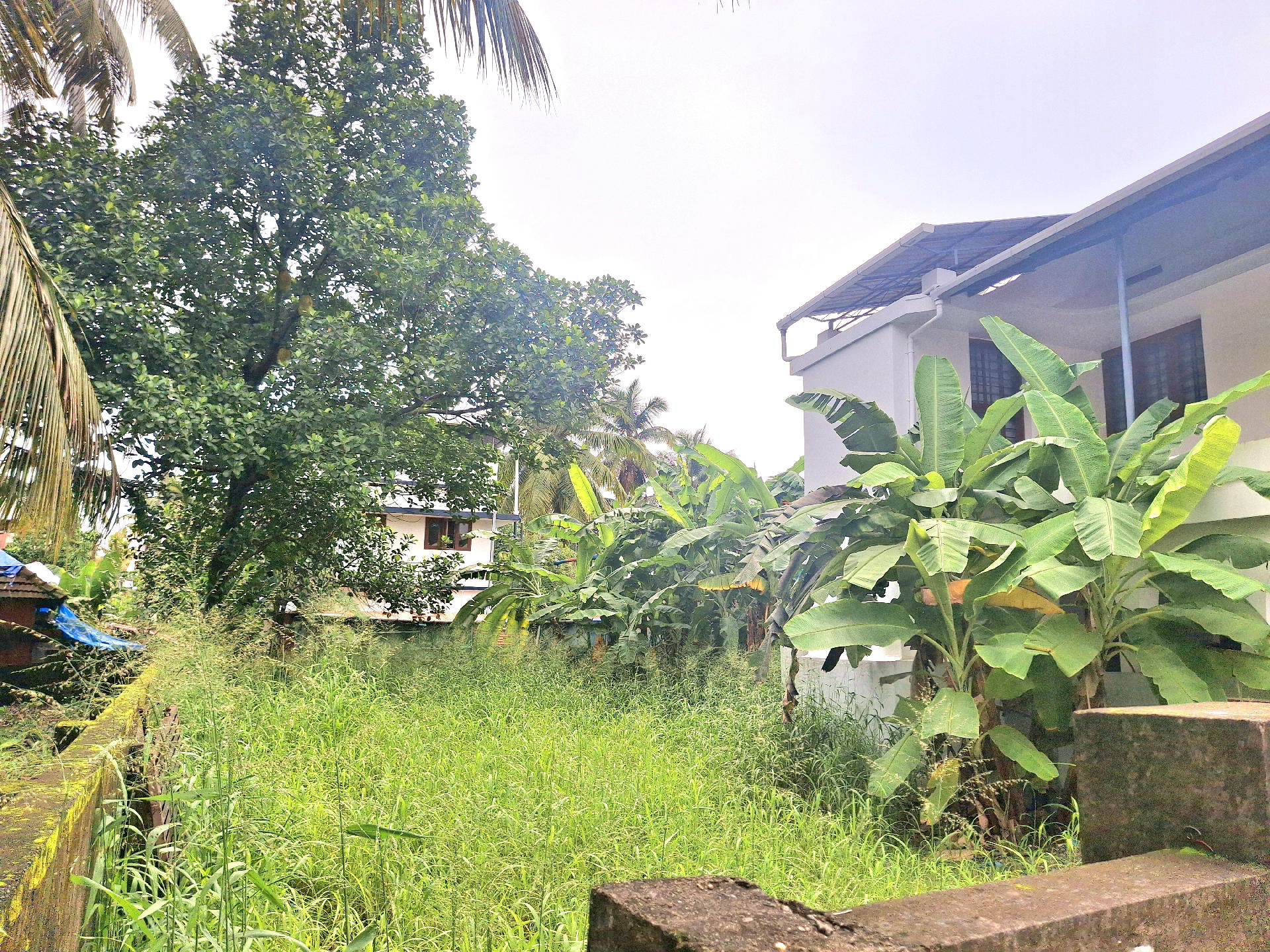RESIDENTIAL  LAND FOR SALE AT CHEMBUMUKKU