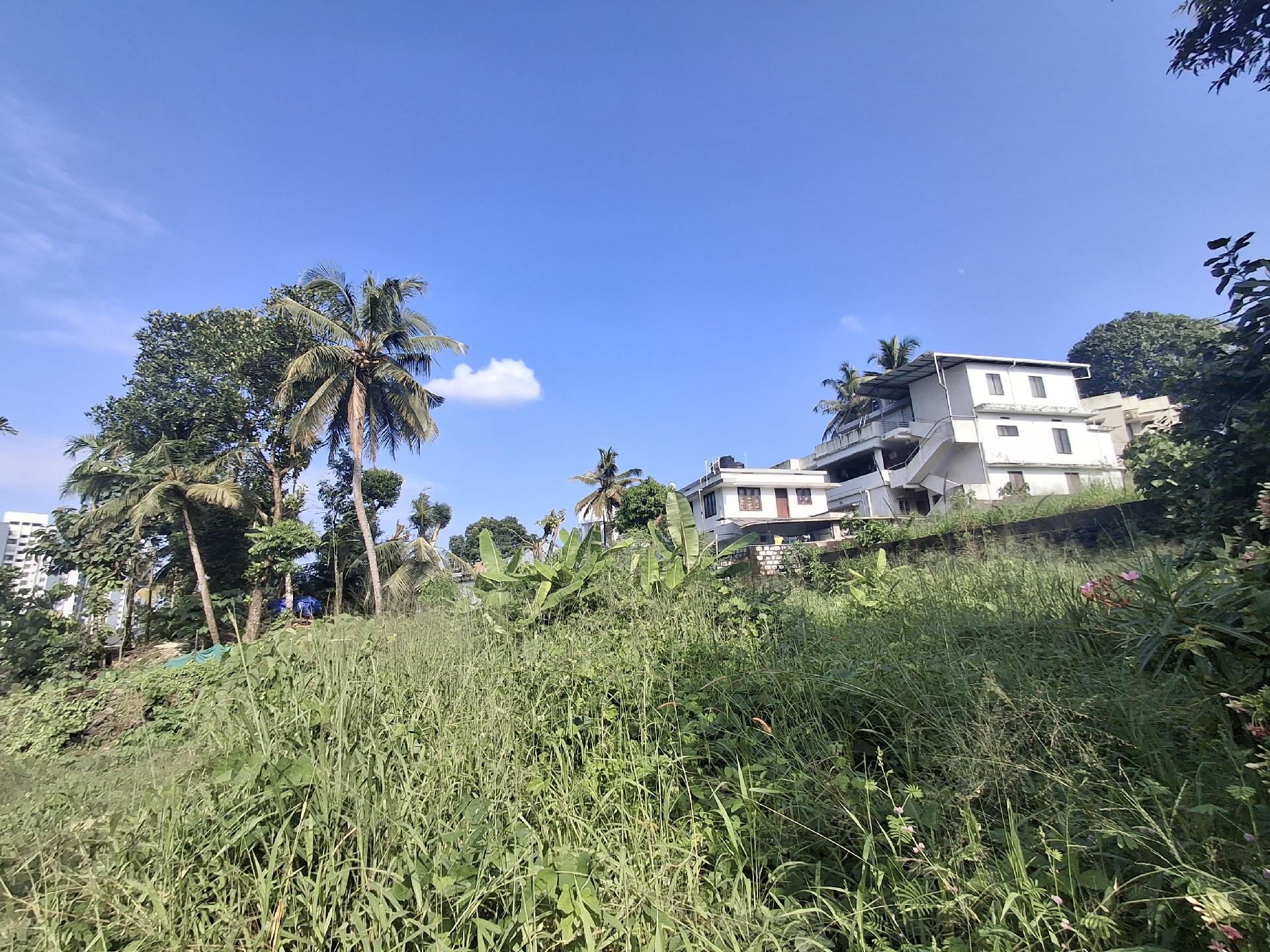 COMMERCIAL LAND FOR SALE AT KAKKANAD
