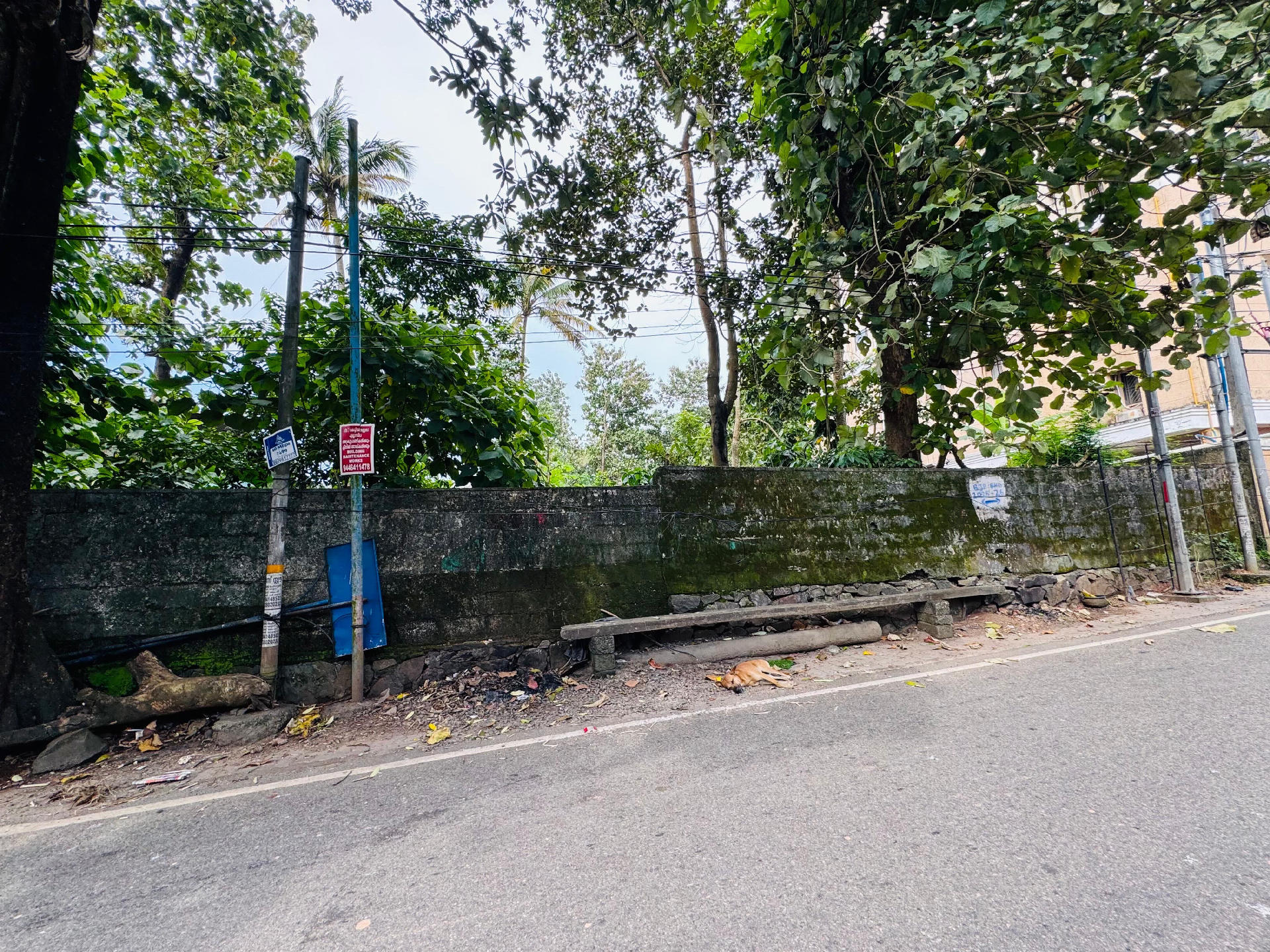 40 CENTS LAND FOR SALE AT KOLLAMKUDIMUGAL