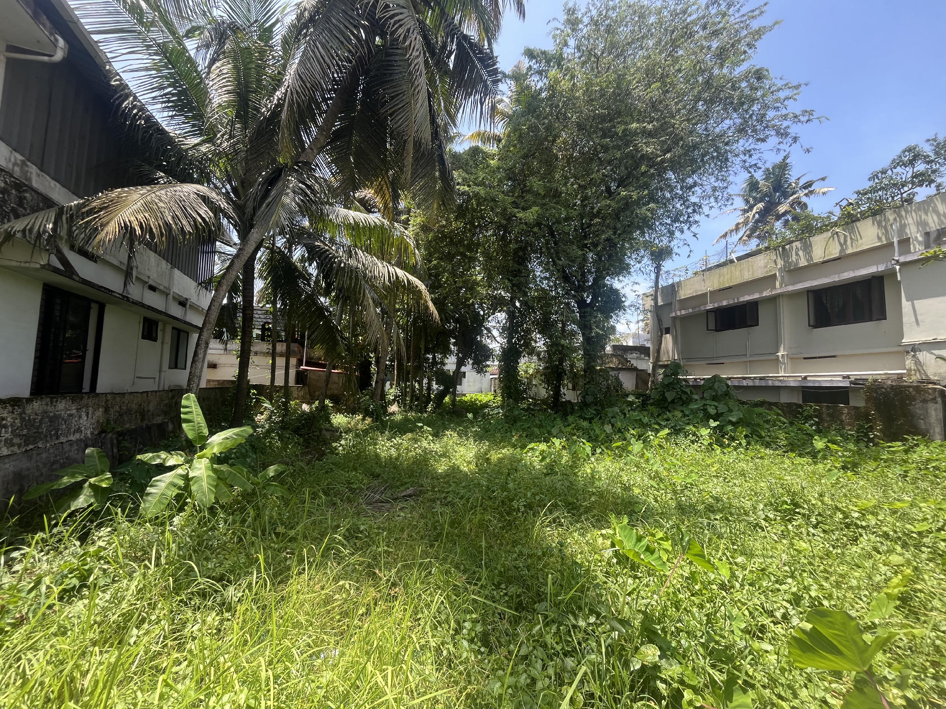 PREMIUM RESIDENTIAL PLOT FOR SALE AT VYTTLA KADAVANTHRA