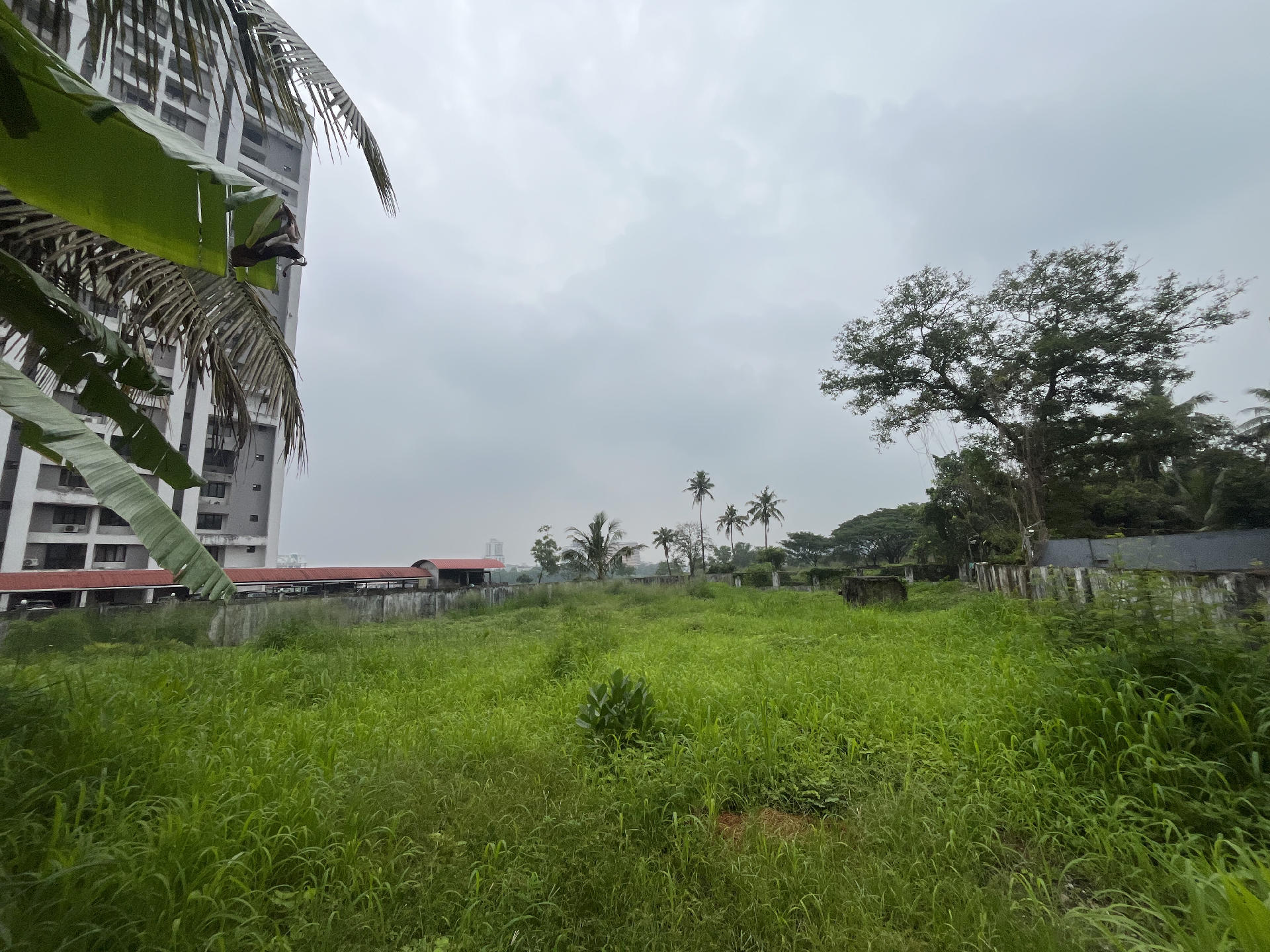 SEMI COMMERCIAL LAND FOR SALE AT KADAVANTHARA WATER FRONT