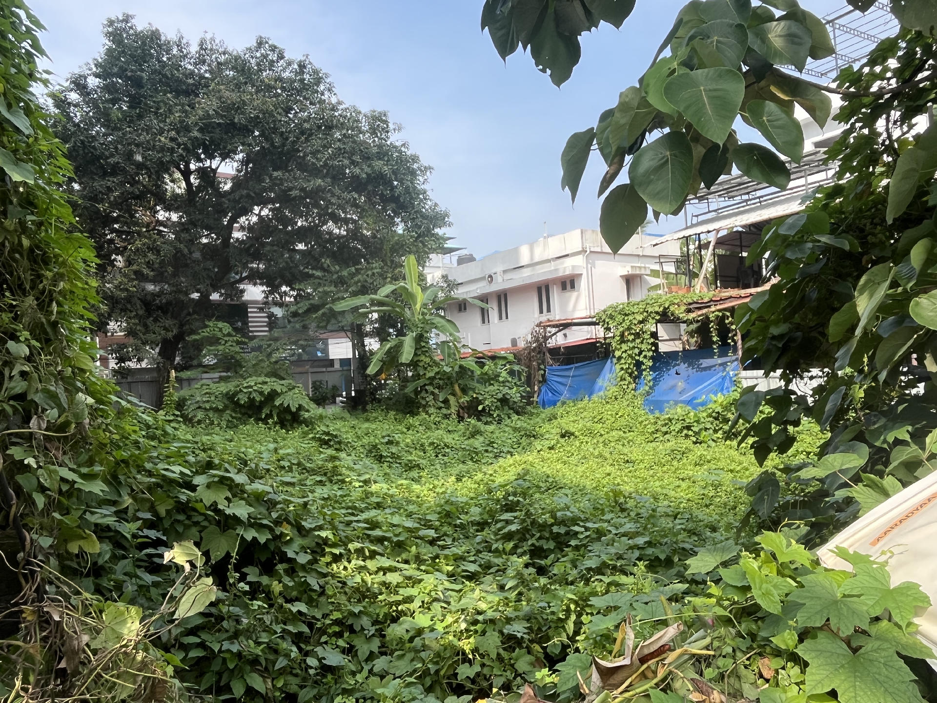 10 CENT COMMERCIAL LAND FOR SALE AT VENNALA