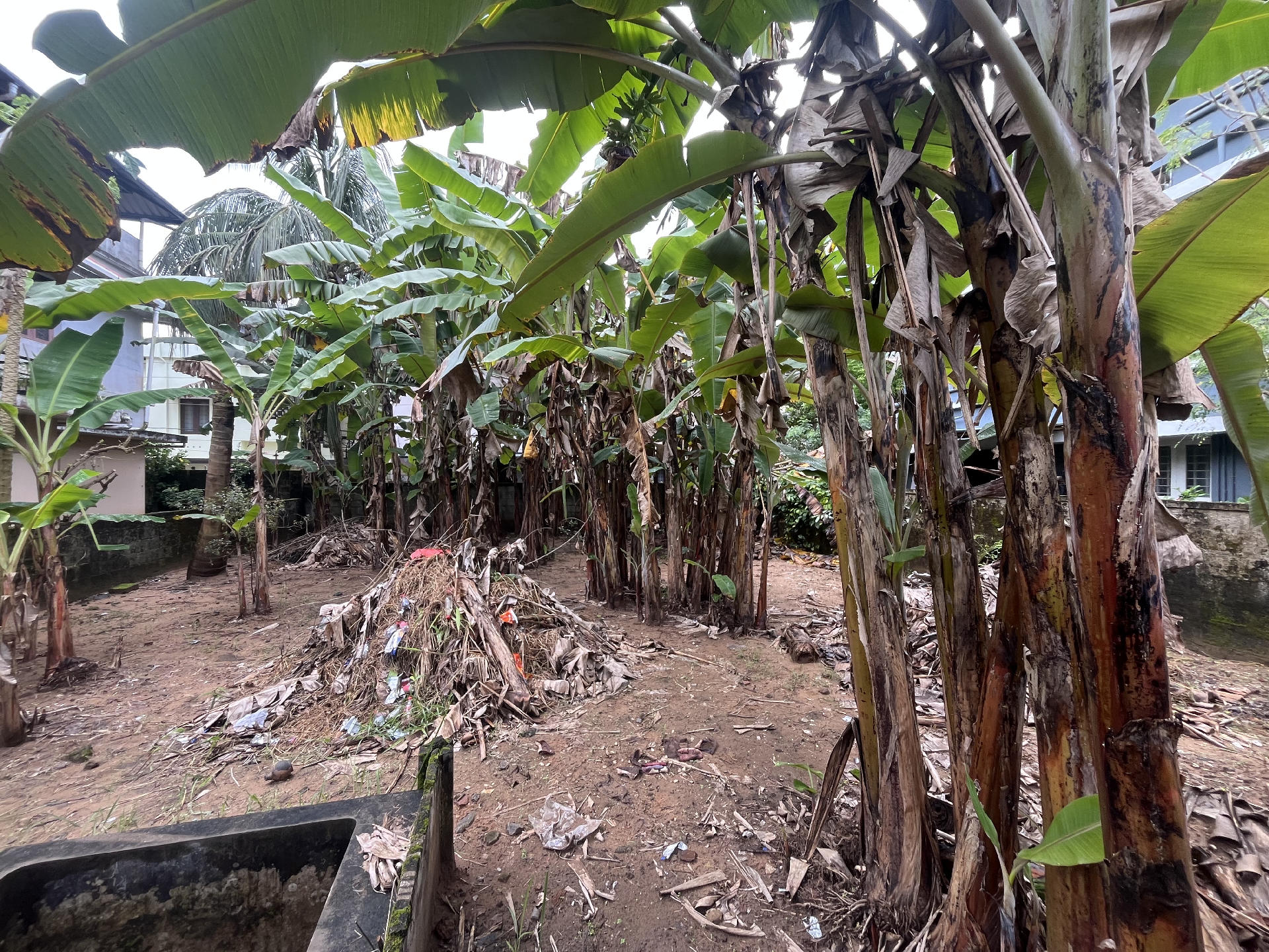 RESIDENTIAL LAND FOR SALE AT KADAVANTHRA