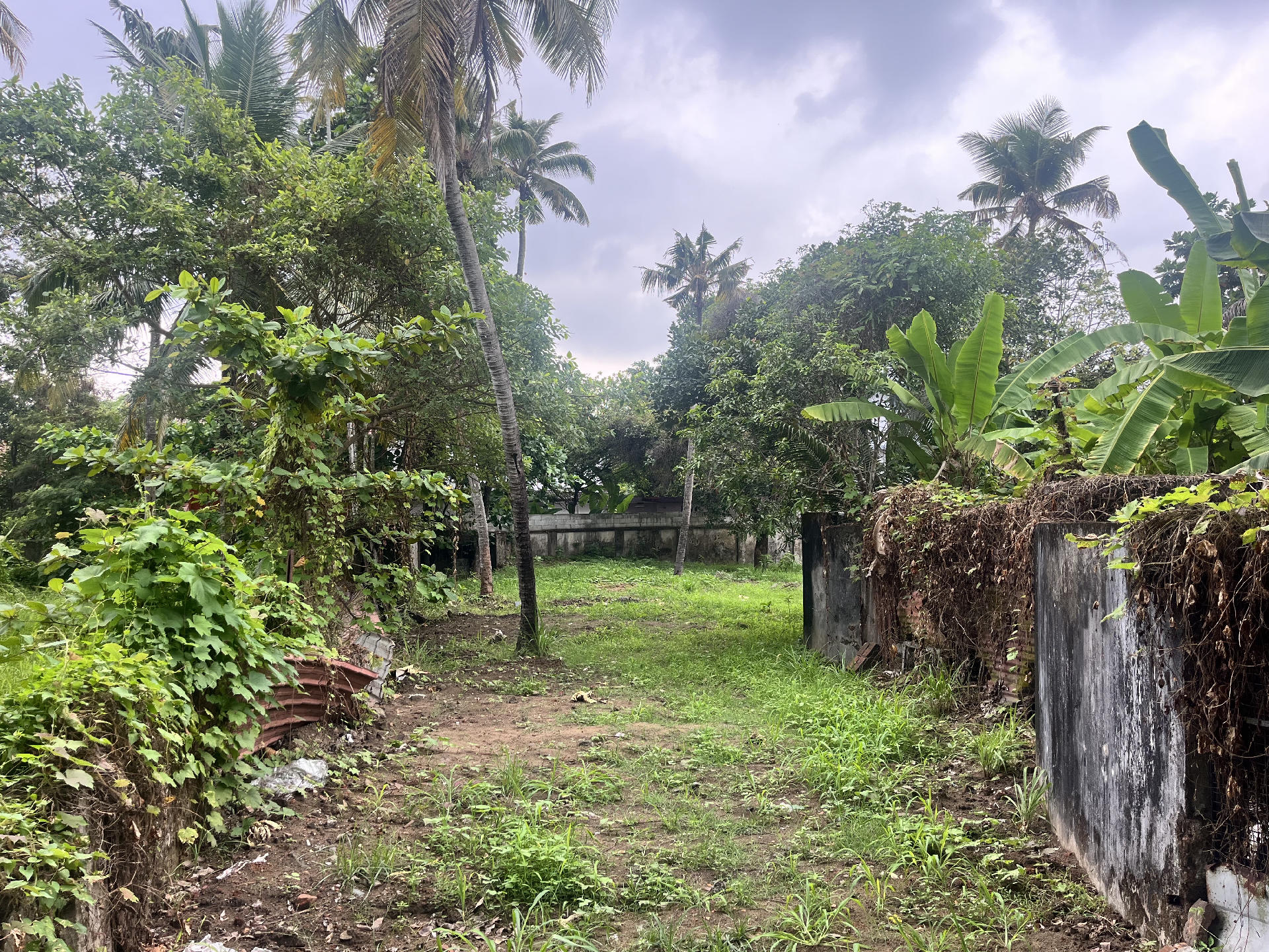 15 CENT SEMICOMMERCIAL LAND FOR SALE AT PALARIVATTOM