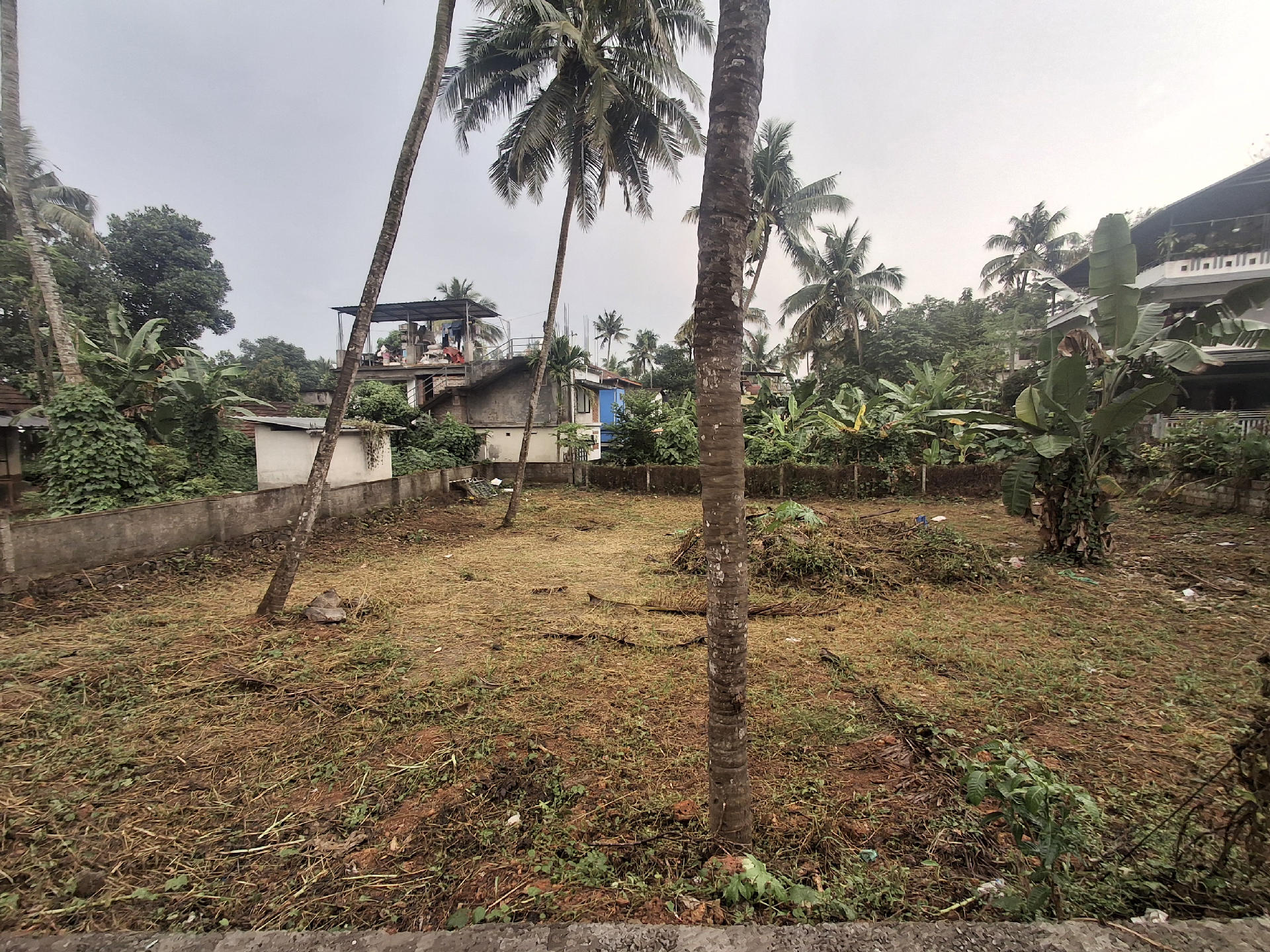 COMMERCIAL  LAND FOR SALE AT KANGARAPPADY NEAR MODEL ENGINEERING  COLLAGE