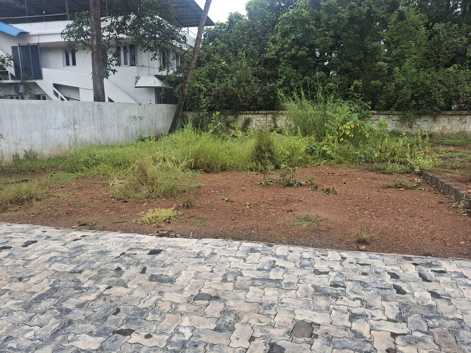 RESIDENTIAL PLOT FOR SALE AT THAMMANAM