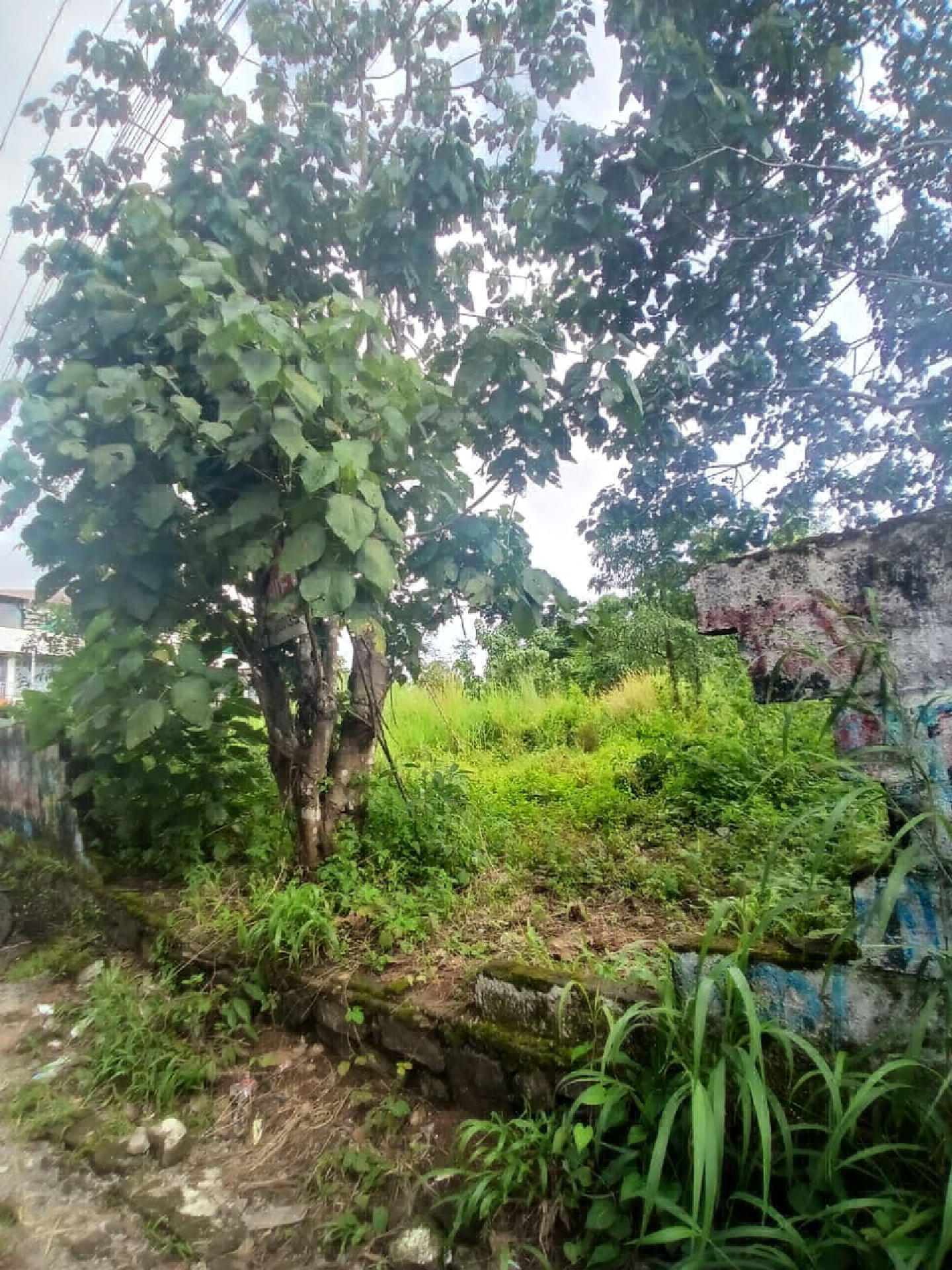 16 cents of commercial plot for sale at Mulanthuruthy.