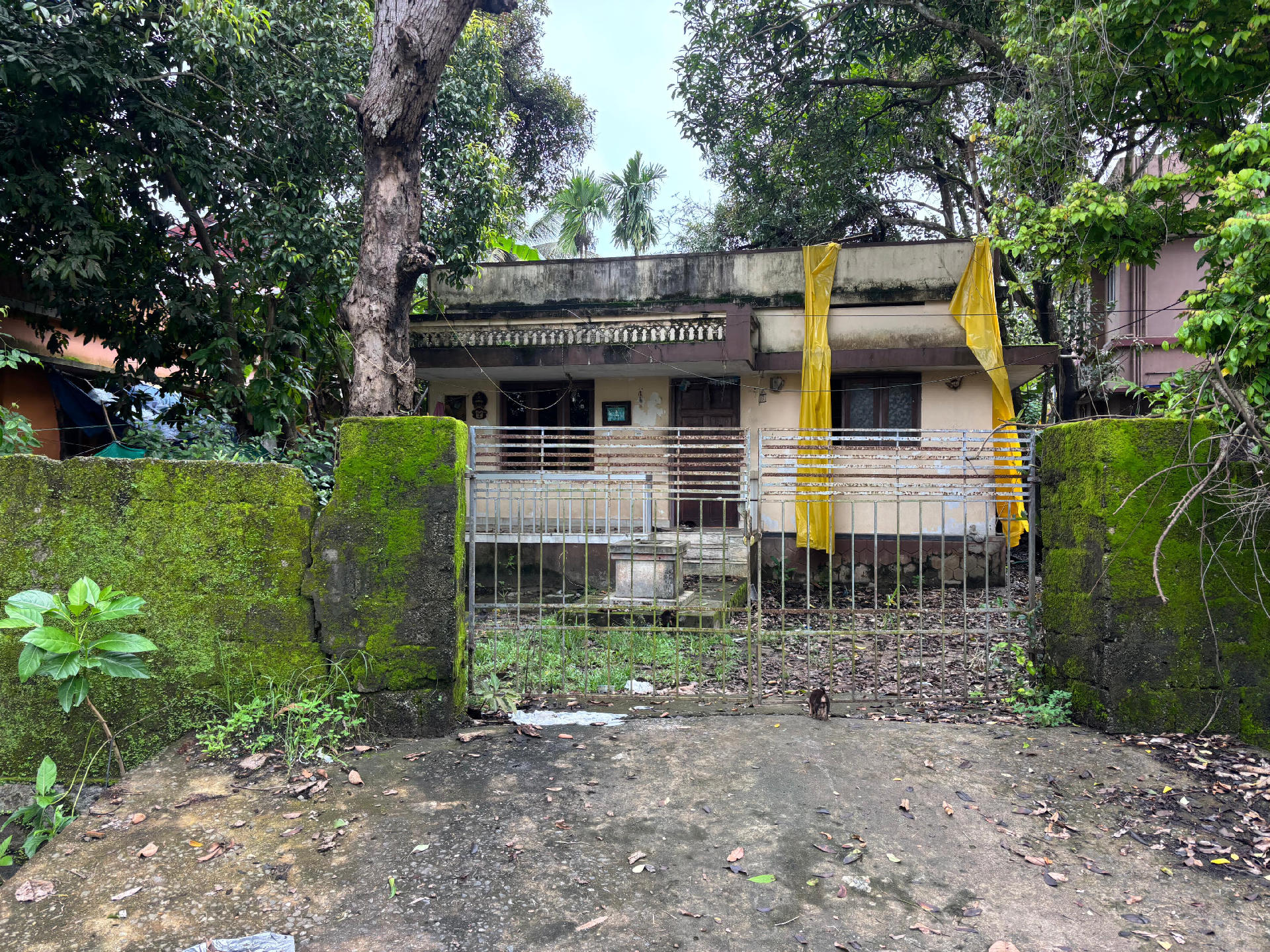 7.75 cents plot with old house for sale at Eroor.