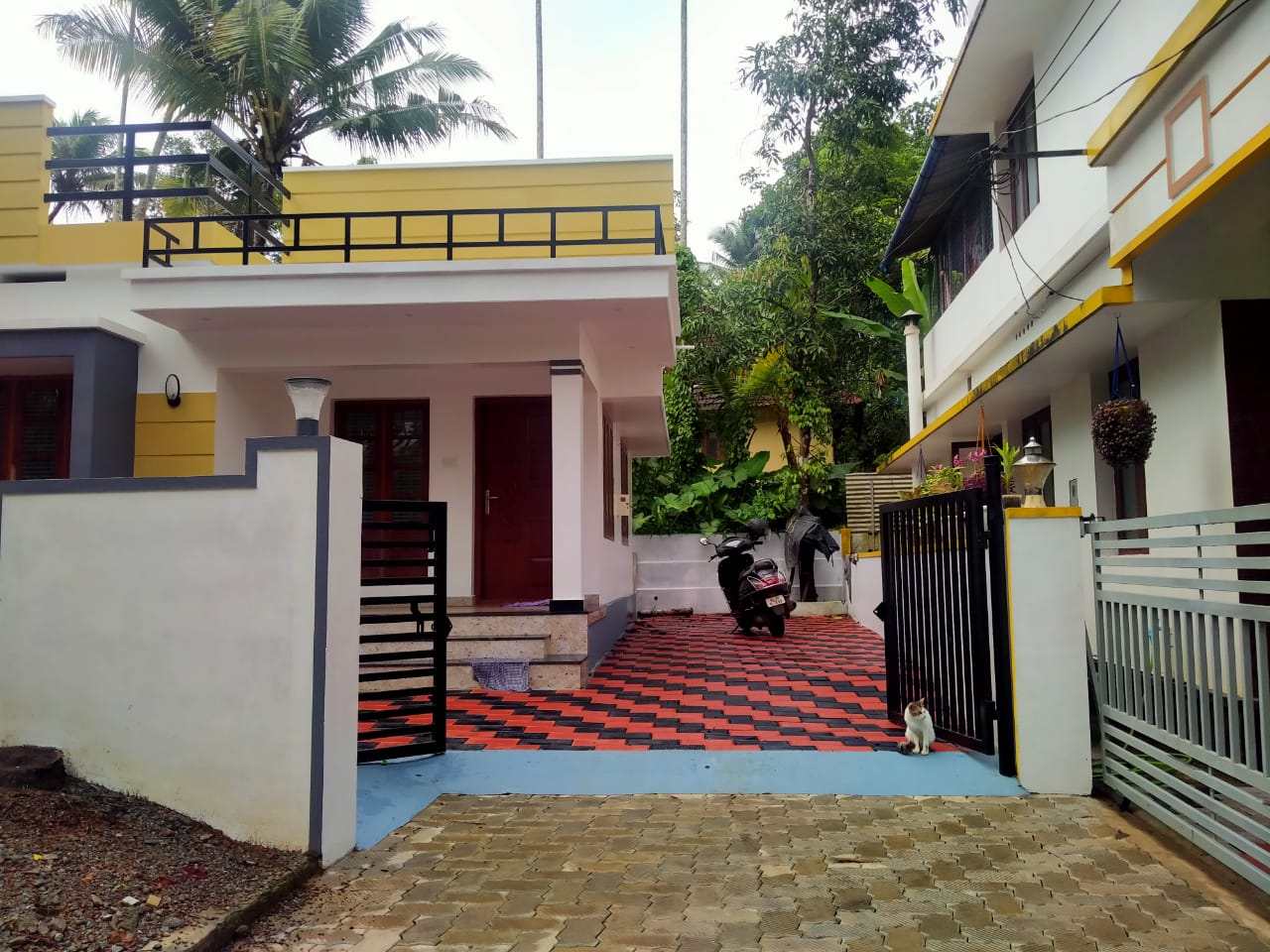 5 cent 1028 sqft 3BHK semi furnished house sale at Chottanikkara.