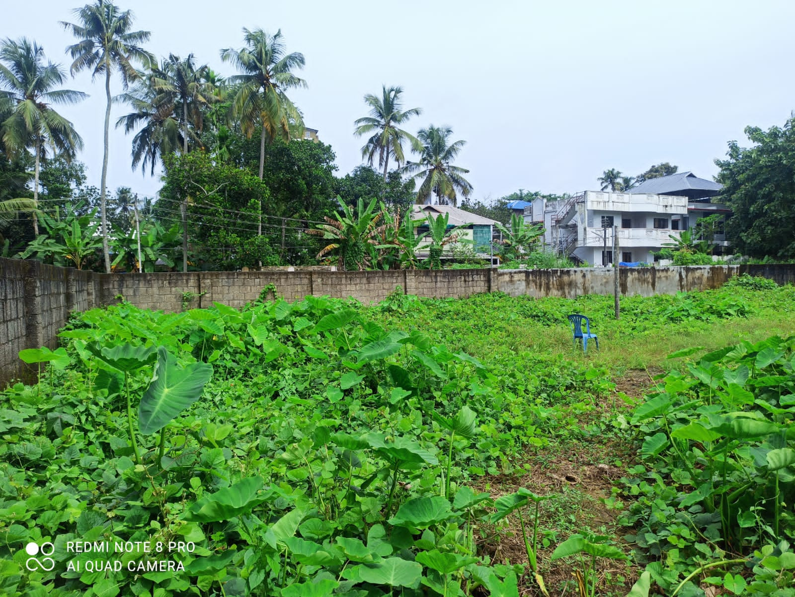 6.8 cents plot for sale at Maamala.