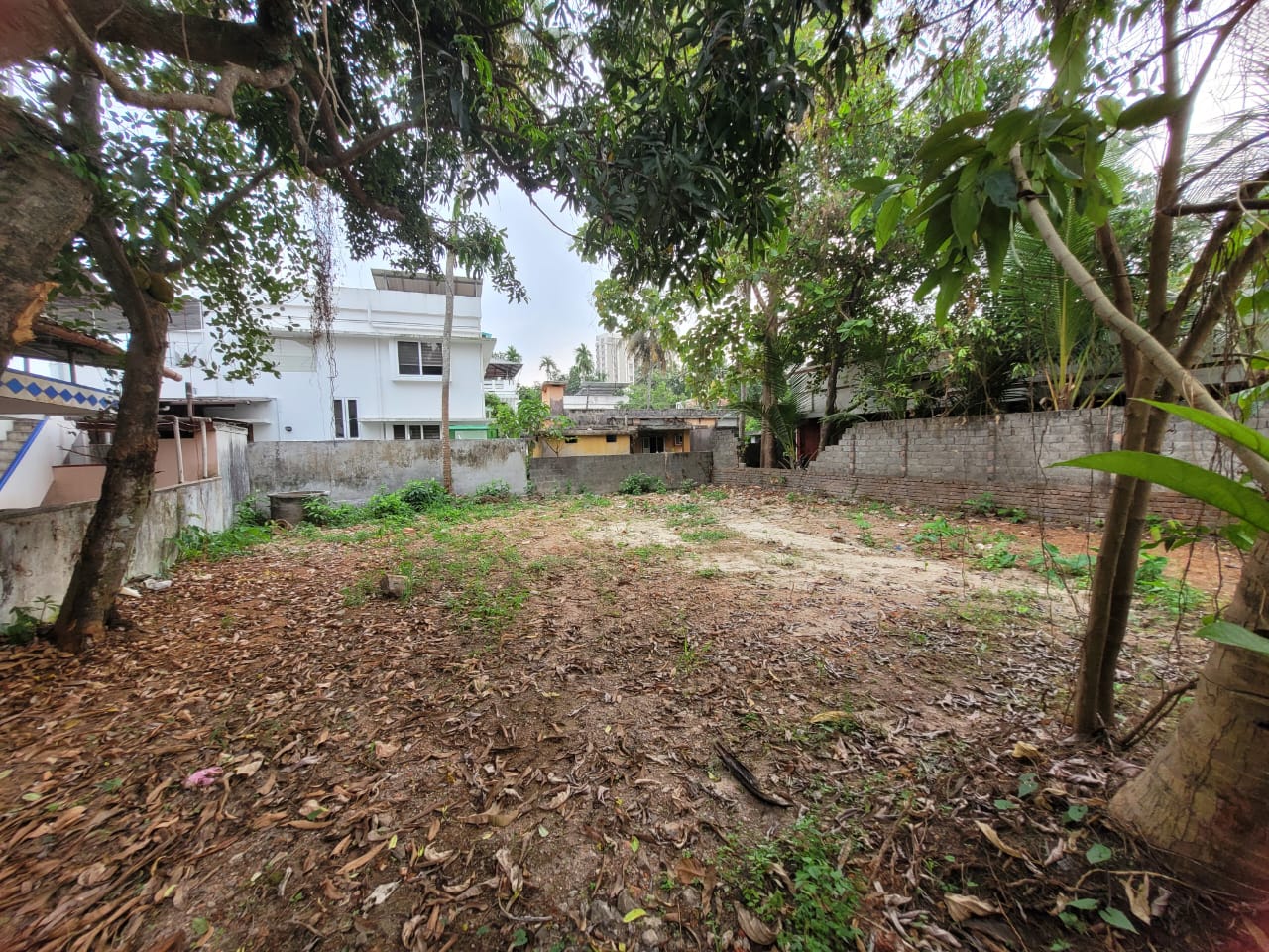 6 cents residential plot for sale Asad road,Kaloor.