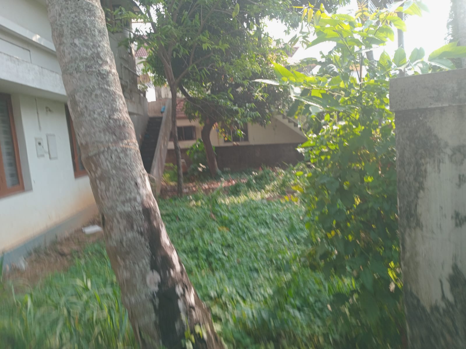 2.90 cent plot for sale at Chakkaraparamb,Palarivattom.