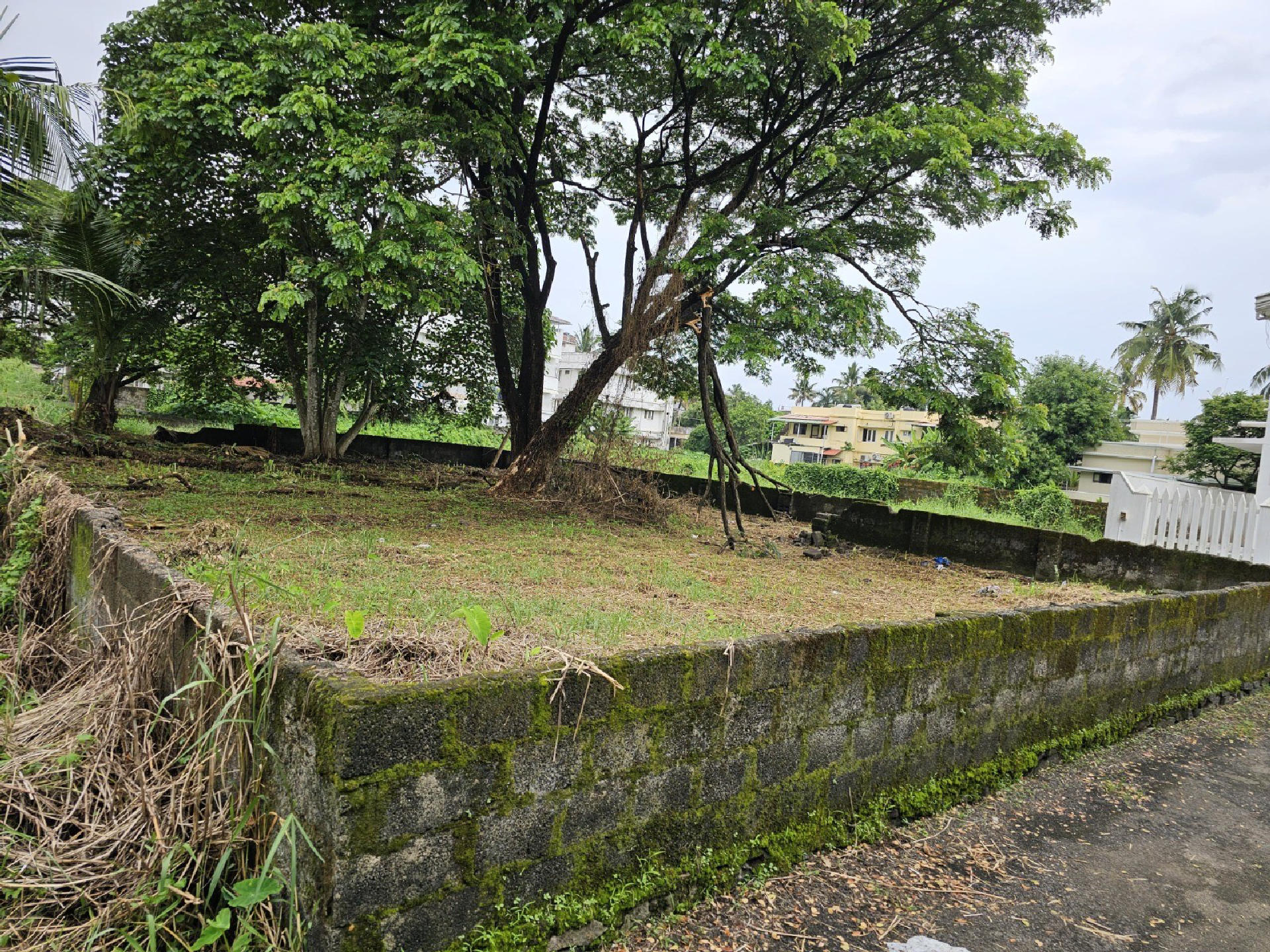 10 cents of Residential Land for at kaloor pottakuzhi near pachalam.