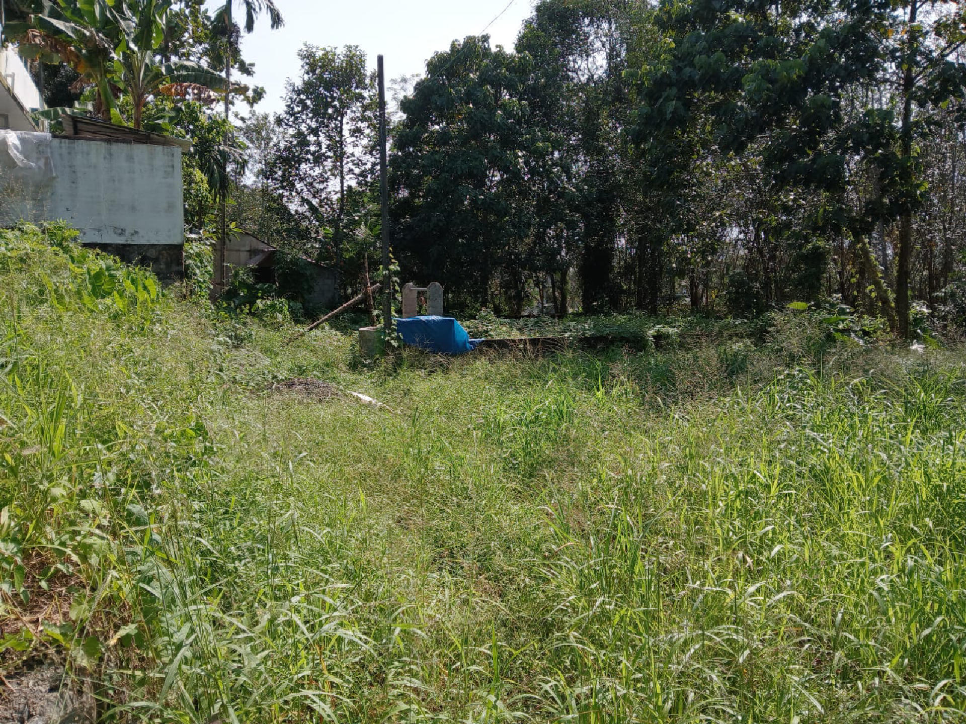 5.5 cents of residential plot for sale at Mulanthuruthy .
