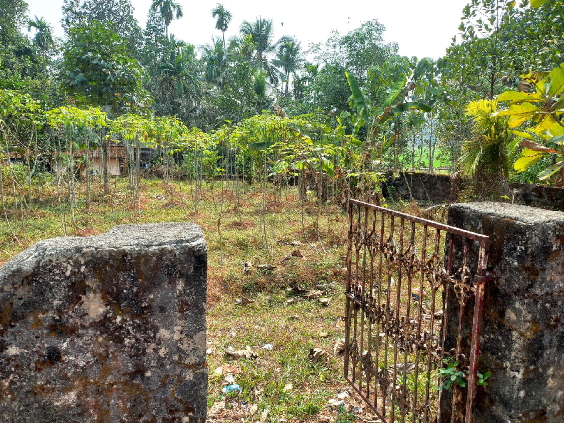 Land / House Plot for Sale