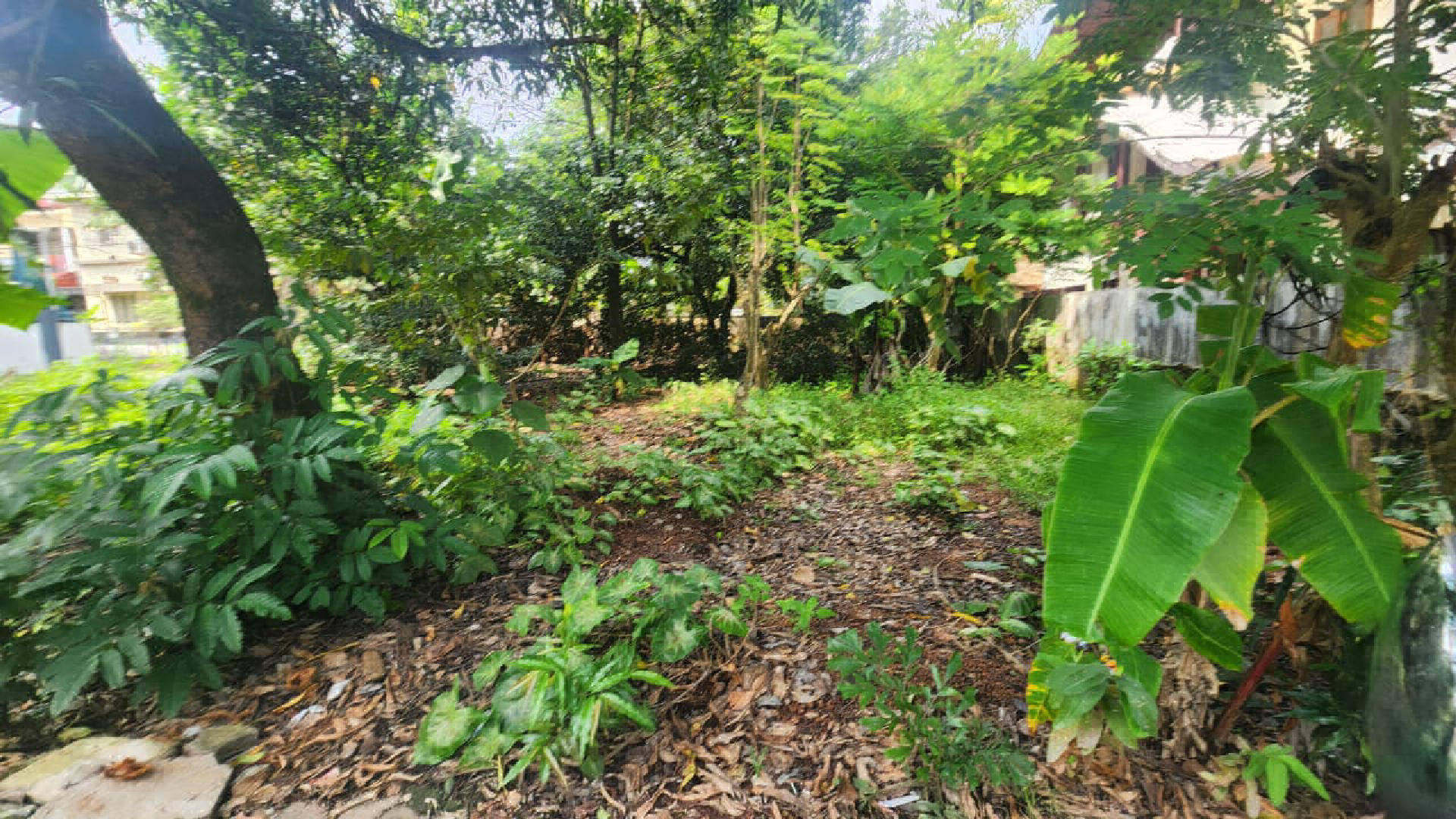 9.3 cents of residential or semi commercial plot for sale at Kaloor.