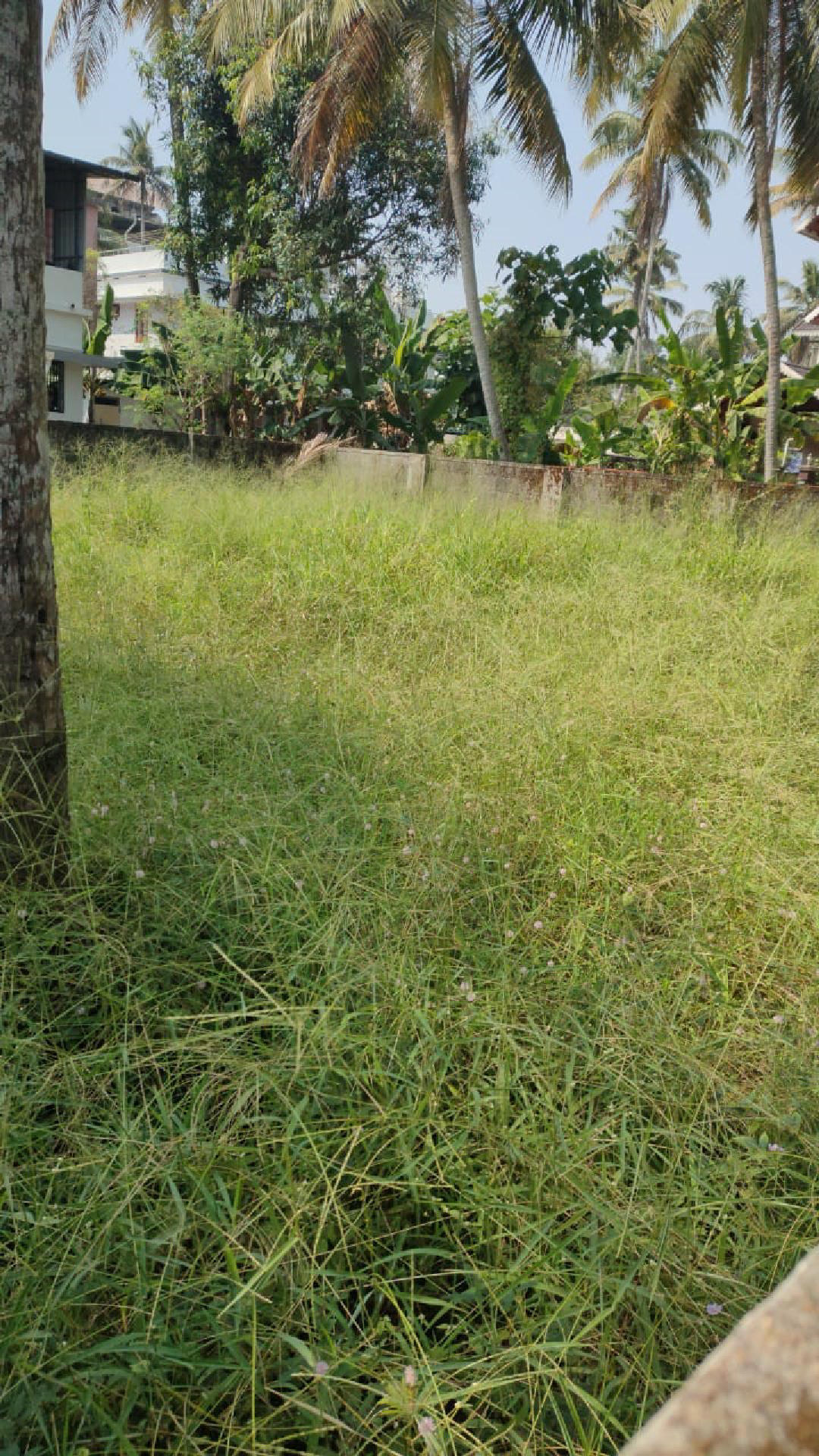 5 centsresidential plot for sale at Vytila