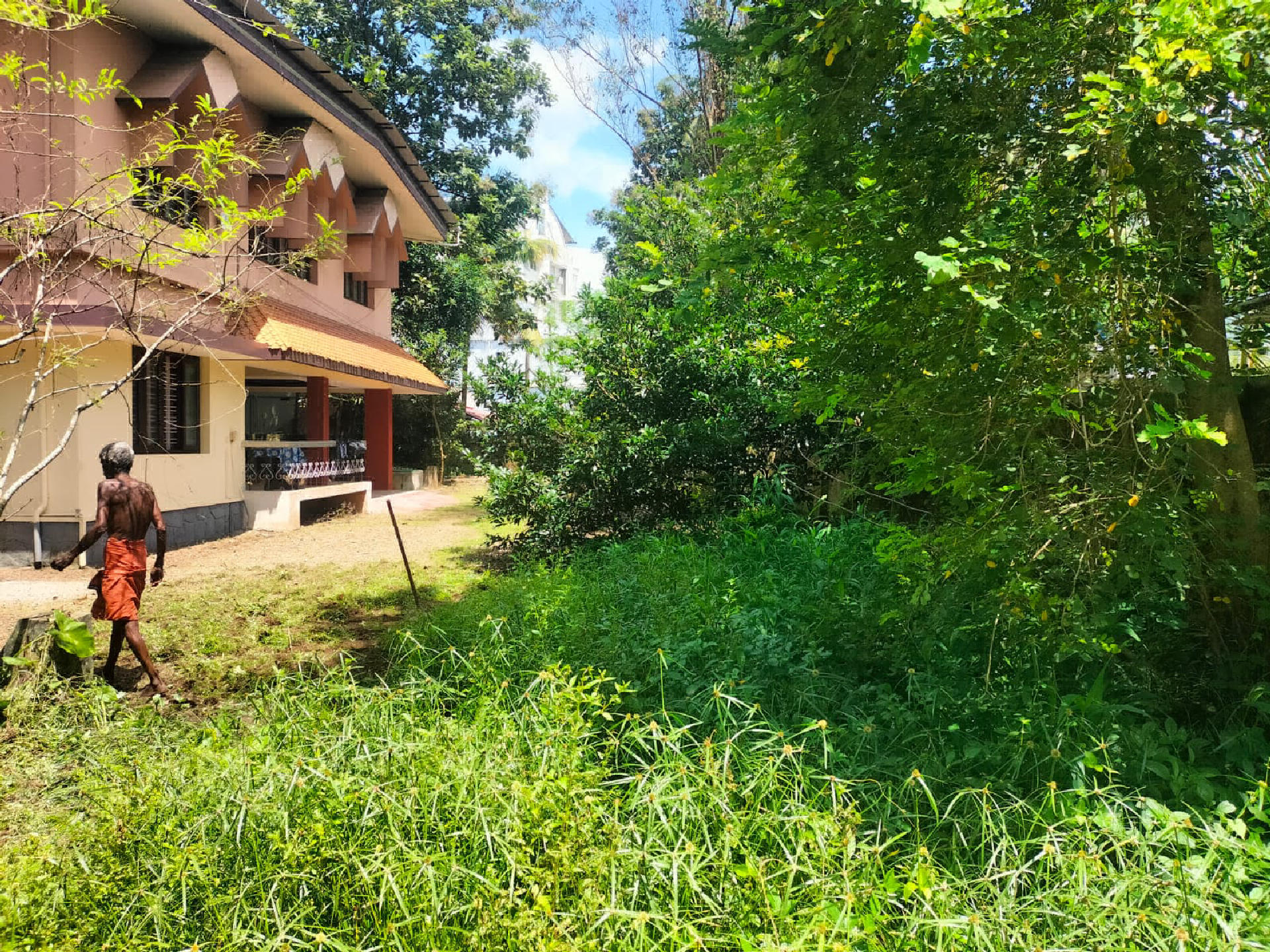 VP No 3980: 30 cent plots for sale at Vadakkekotta
