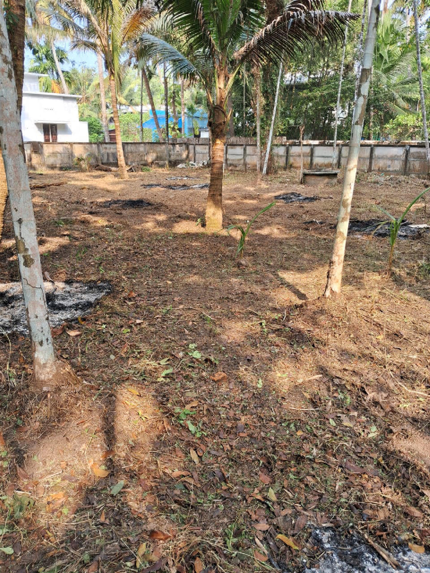 Land / House Plot for Sale at Cherai
