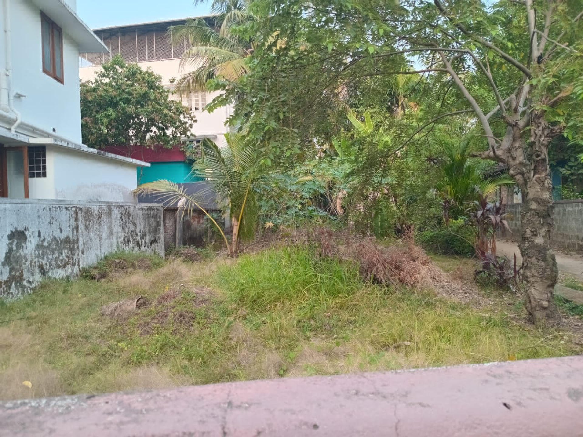 : 5.5 cent plot for sale at Ponekkara,Edappally.Near St Francis Xavier church.