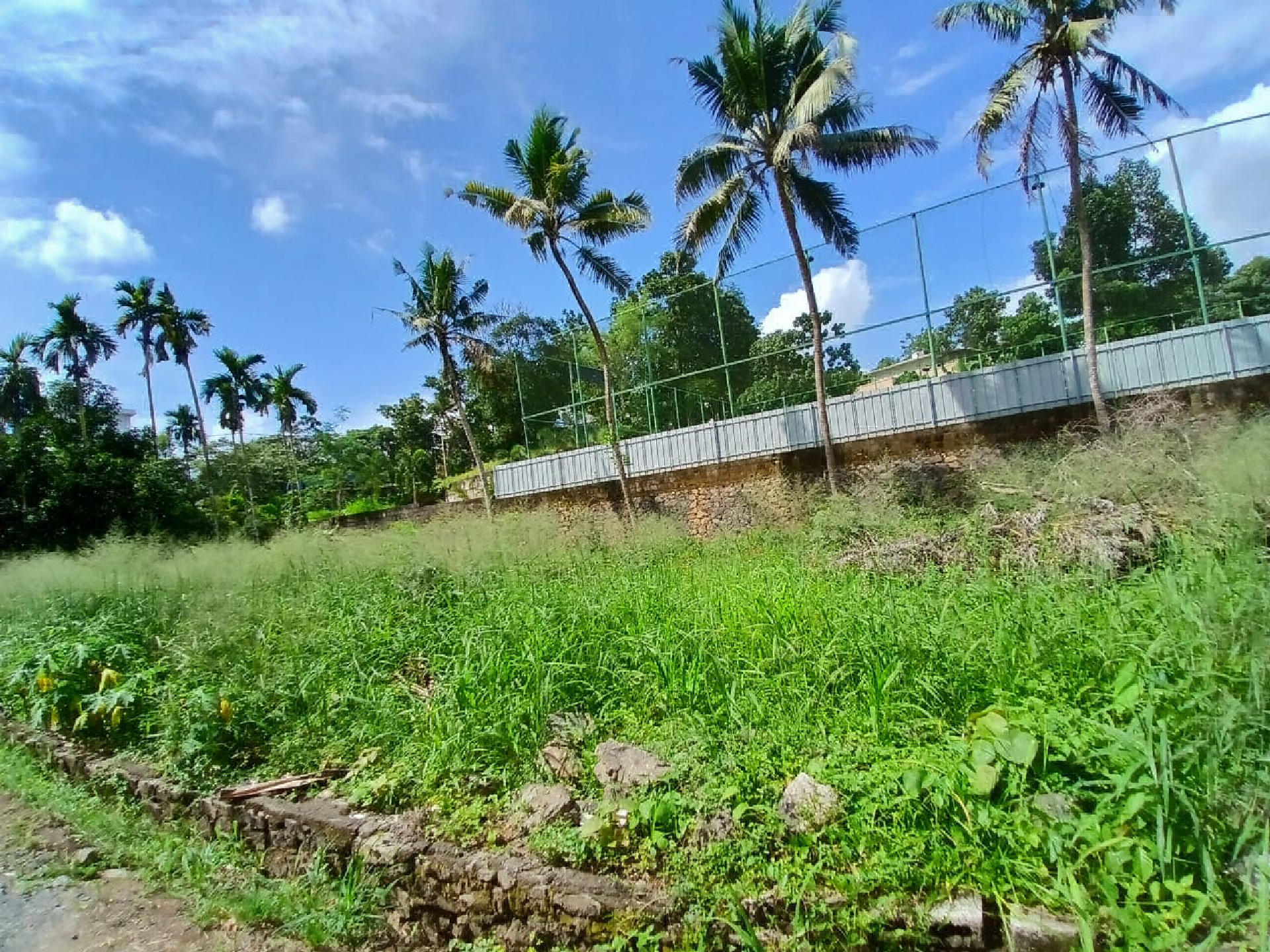 30 cent plot for sale at Thengod.