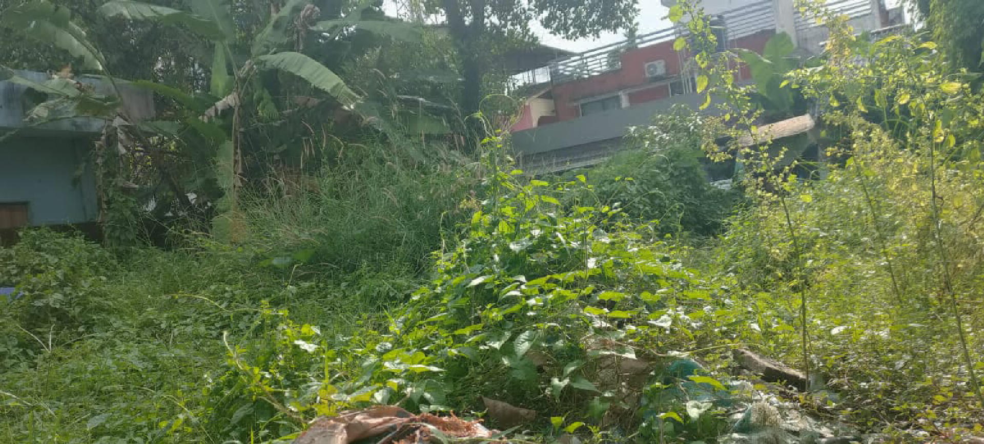 3.70 cents Residential Land for Sale at Thevara