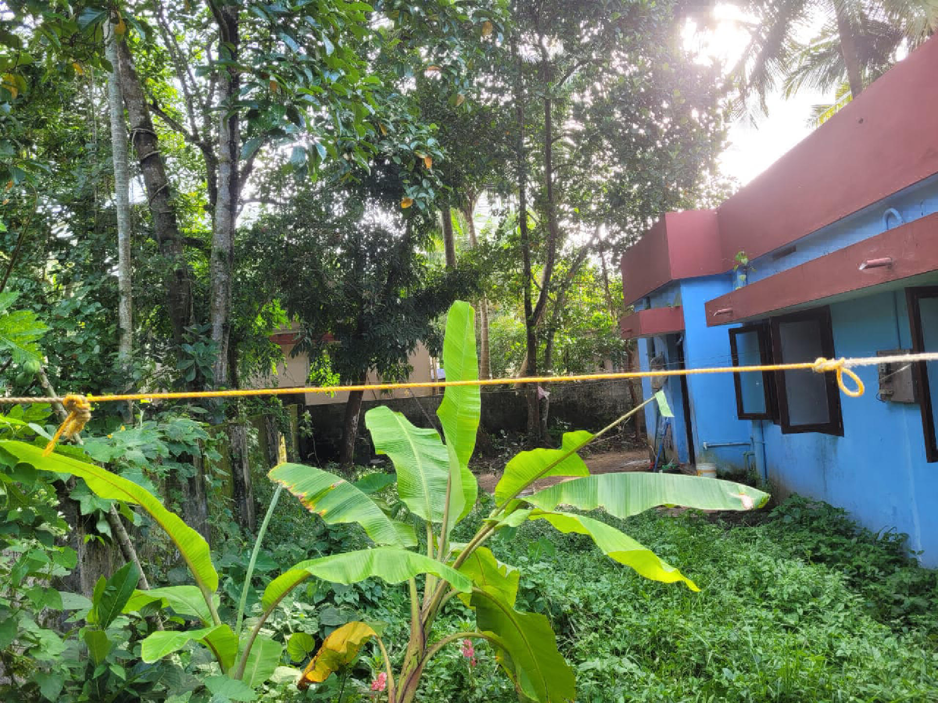 8.5 cents plot with old house for sale Irumpanam.