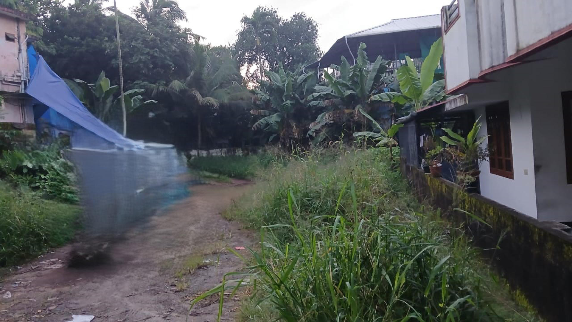 13 cents of plot residential or commercial purpose land for sale at  Thrikkakkara.