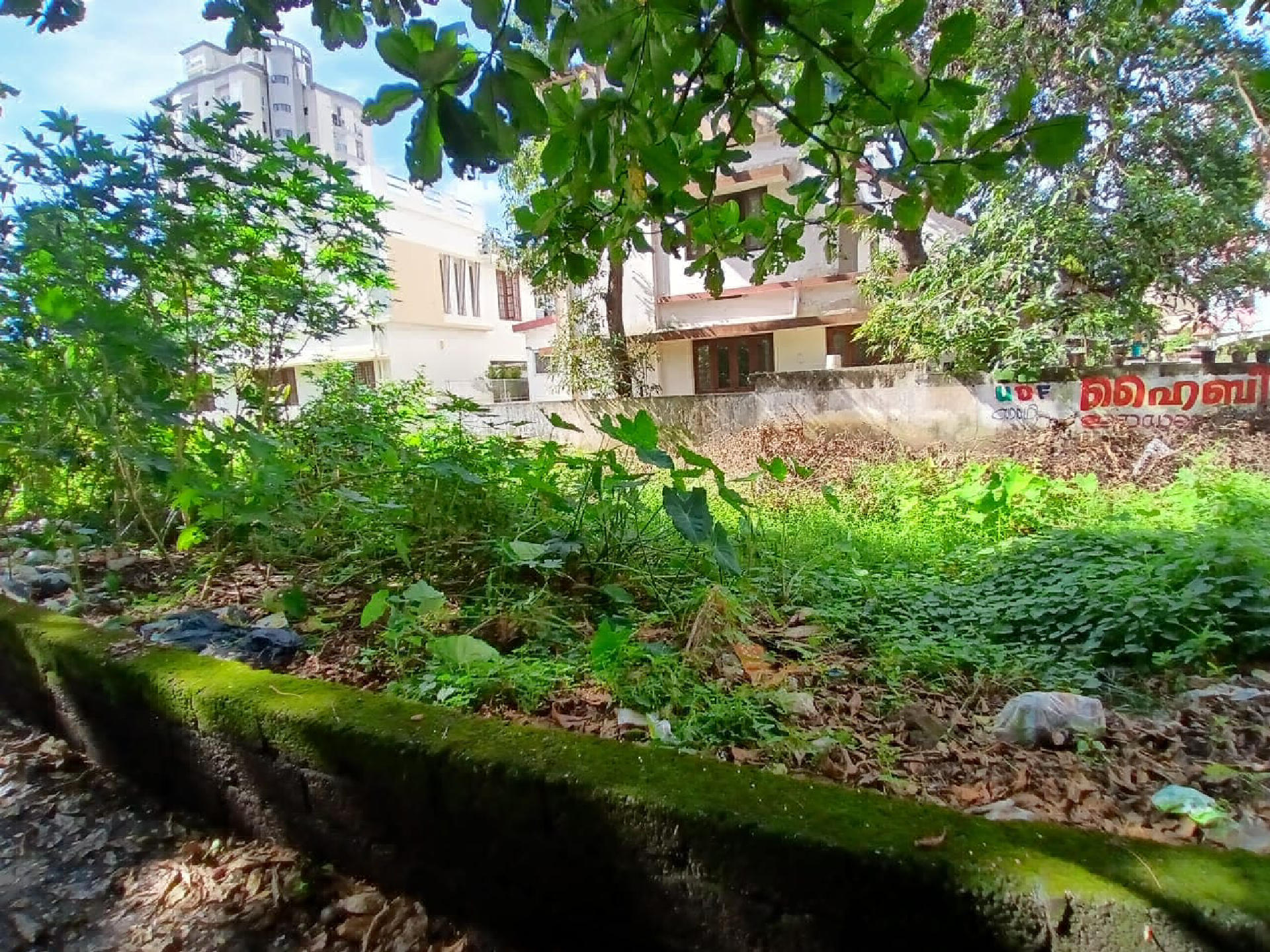 10 cent plots for sale at Panambilly nagar.