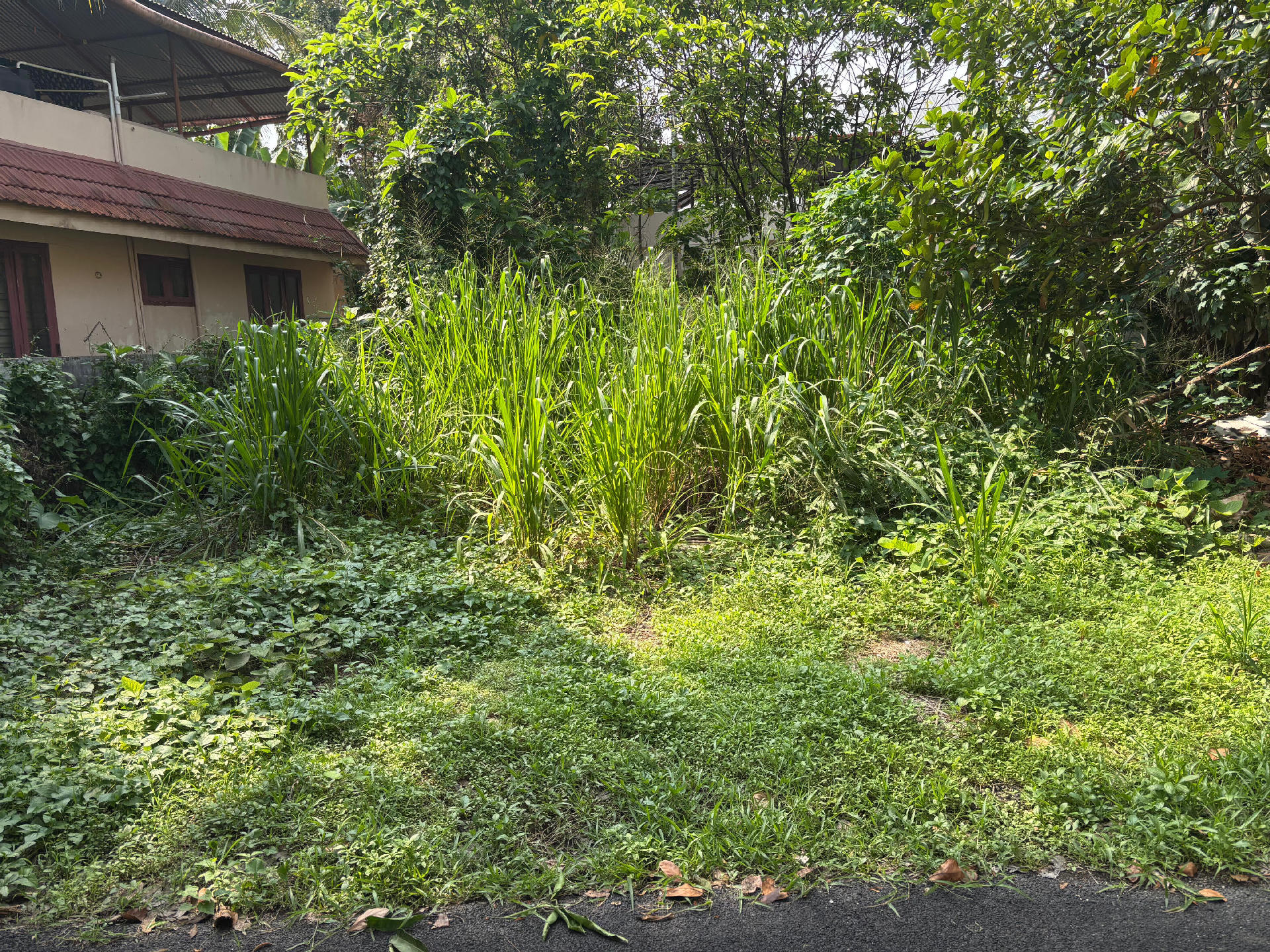 Land / House Plot for Sale at Thrippunithura