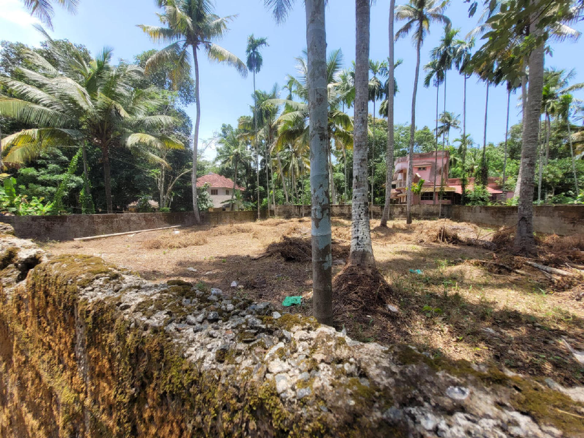 10 cents tar road frontage plot for sale at Kureekkad.Price 8.5 lacs/cent.