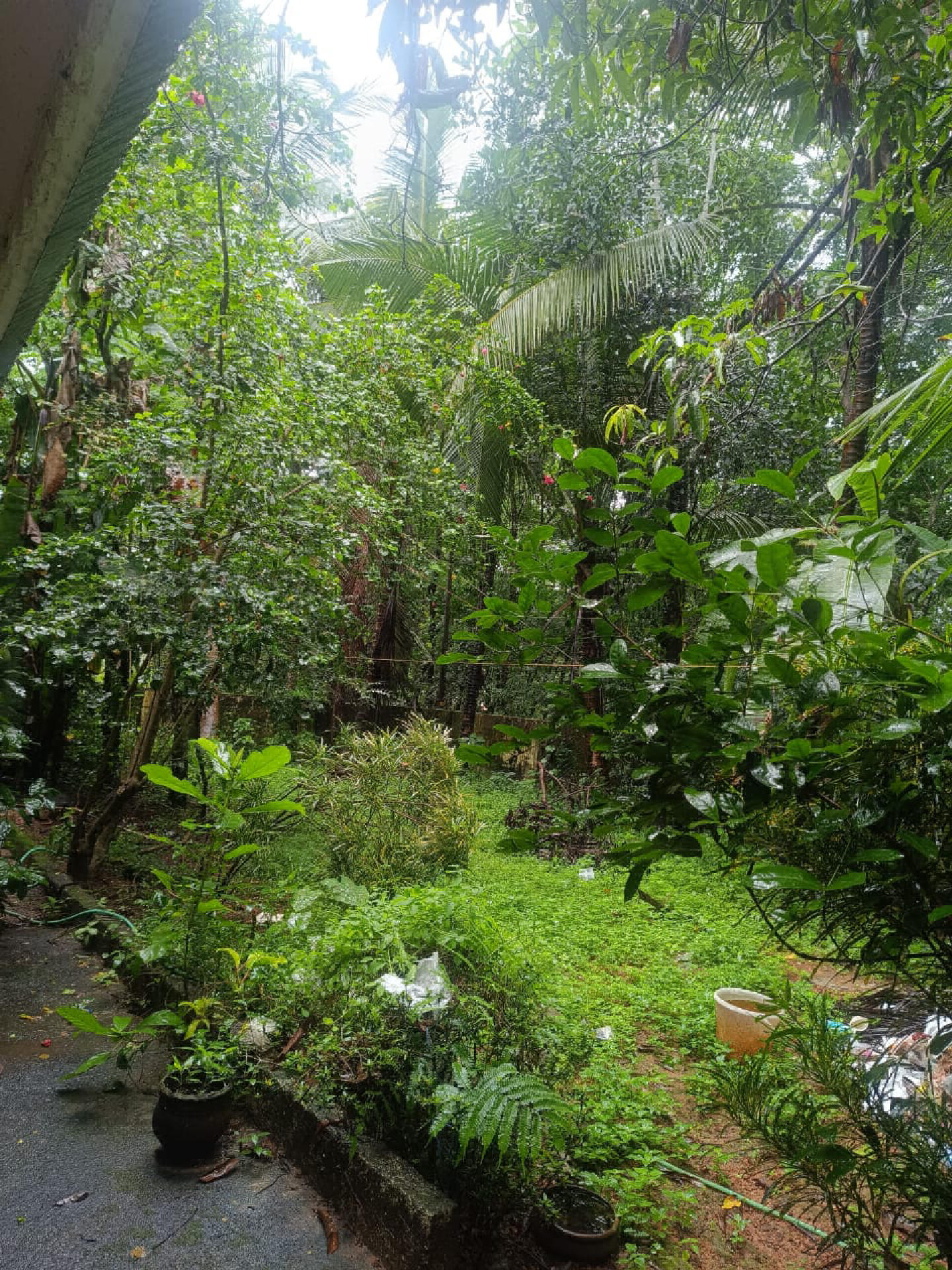 4.5 cents residential plot for sale at kureekkad , Thiruvankulam.