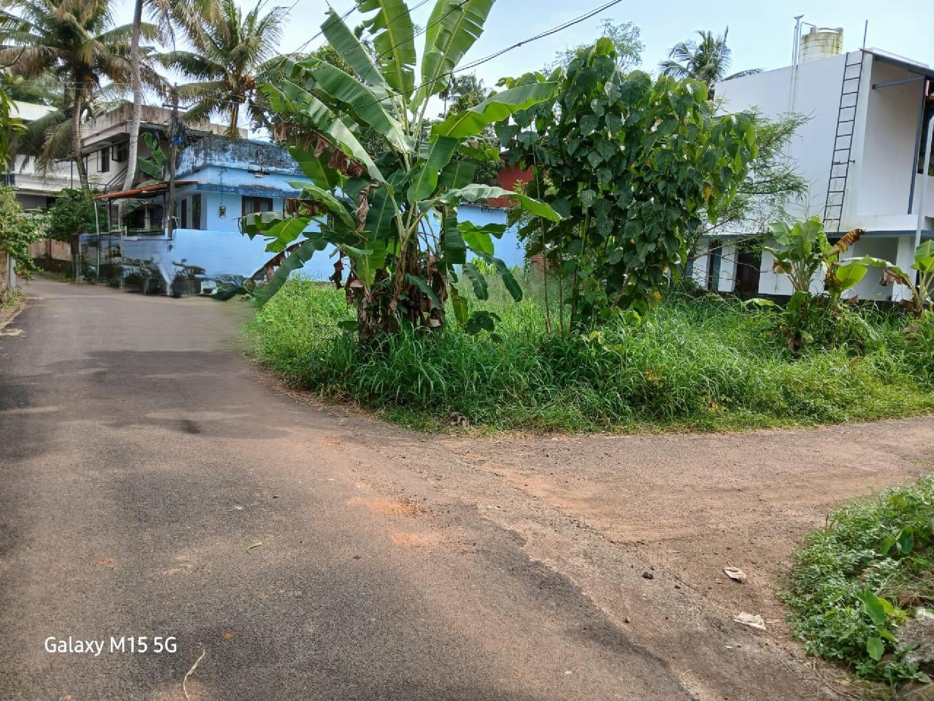 5.5 cents of residential land for sale at Chottanikkara.