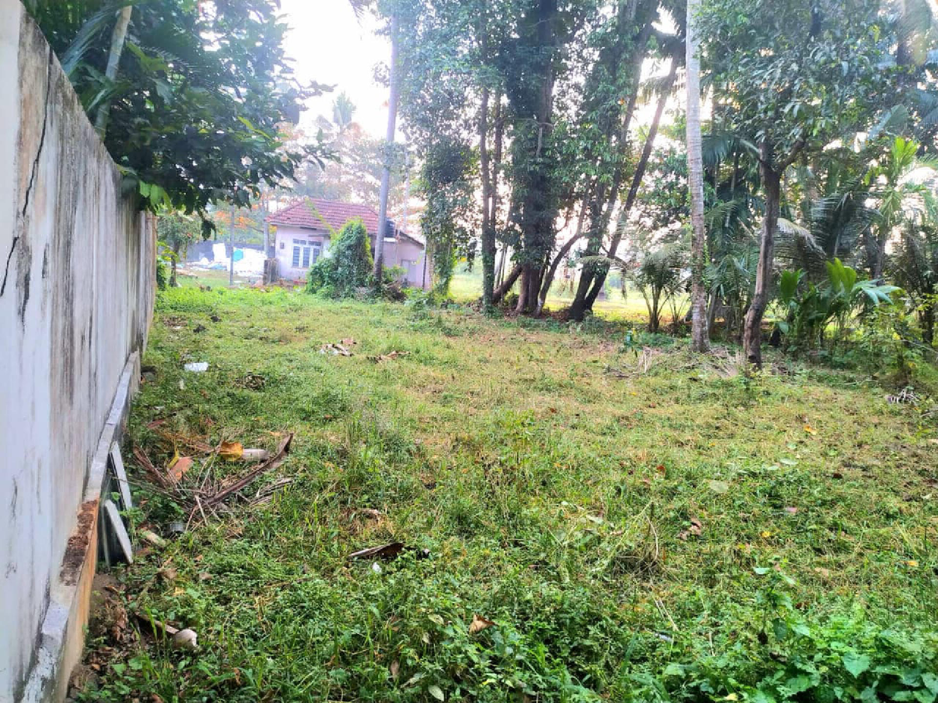 9.5 cents (4.75*2)  of residential plot for sale at Arkkakadavu,Vennala.