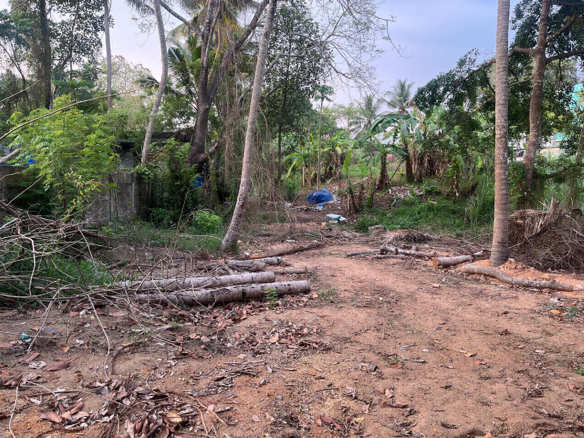 Land / House Plot for Sale at Udayamperoor