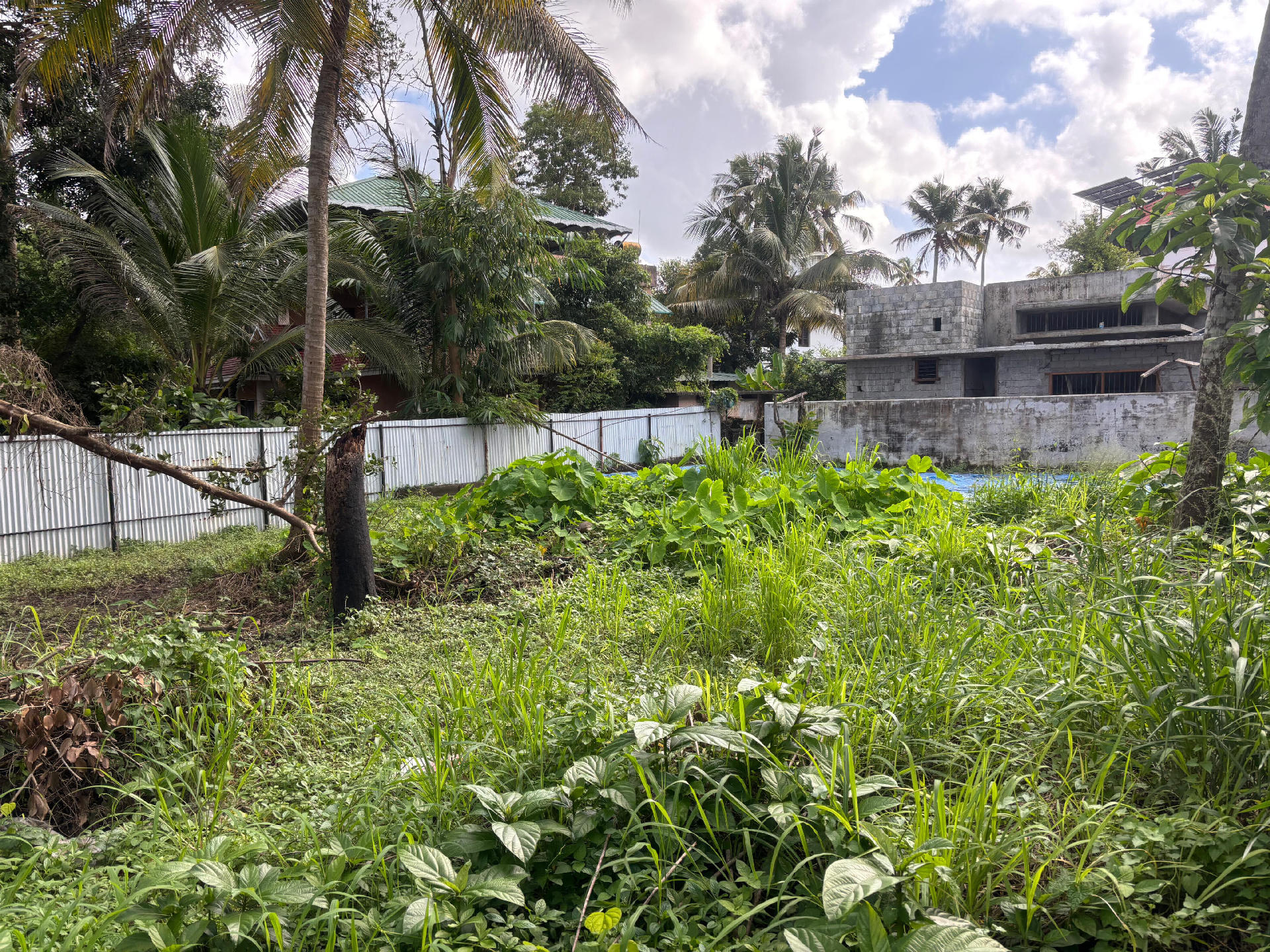 5 cents residential and commercial  purpose plot for sale at Puthiyakavu.