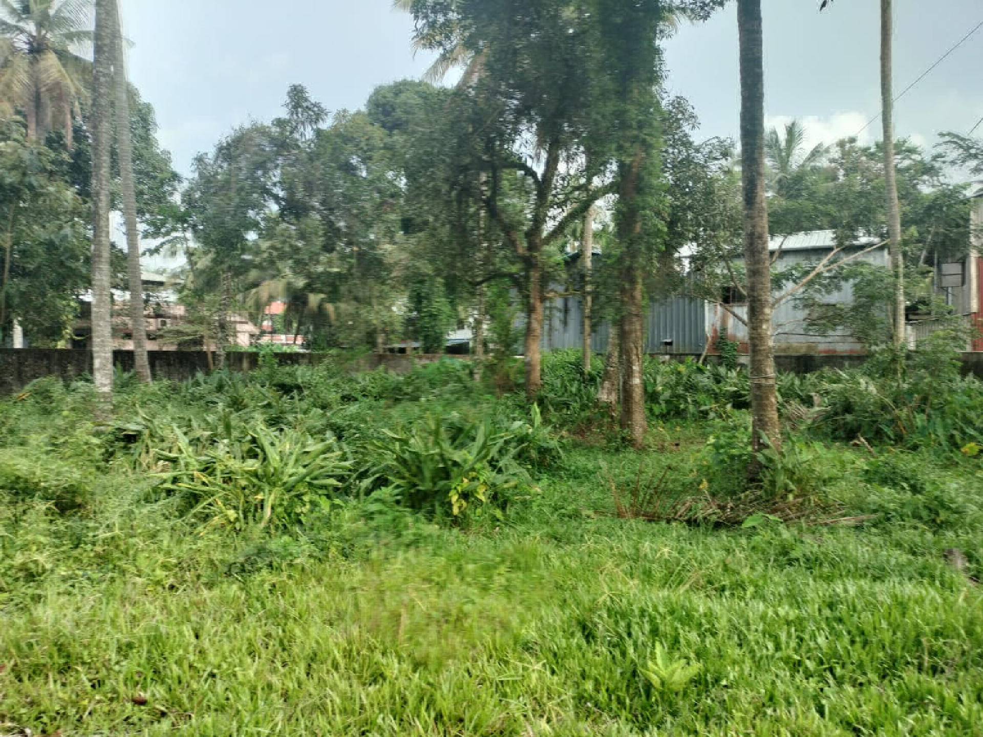 26 cents of residential plot for sale at Maradu.