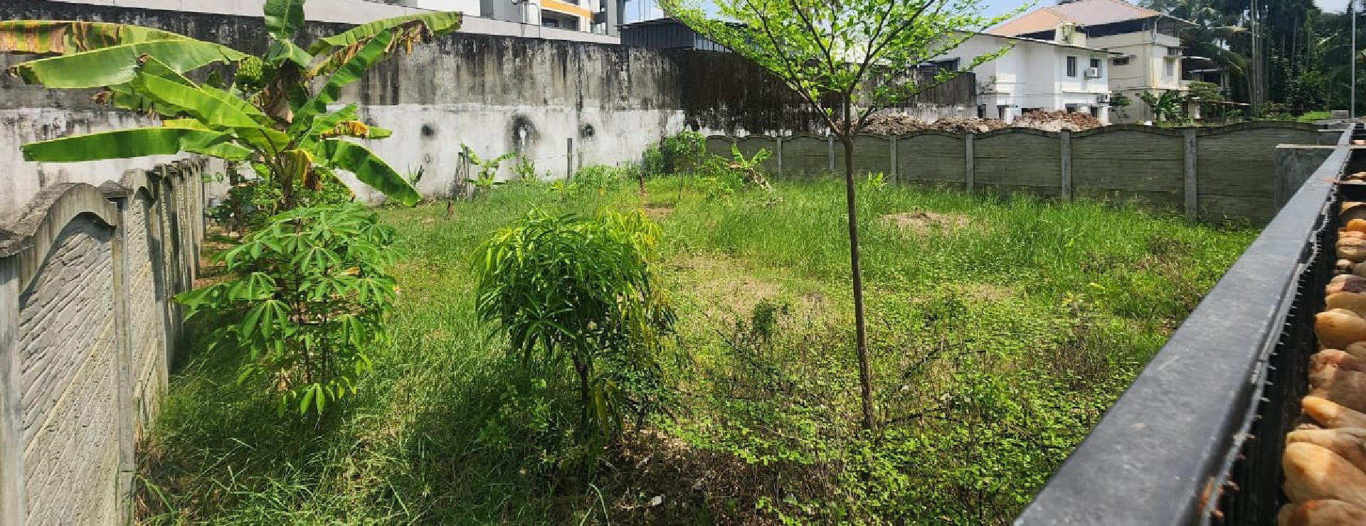 4.5 cent sof residential plot for sale at Elamakkara.