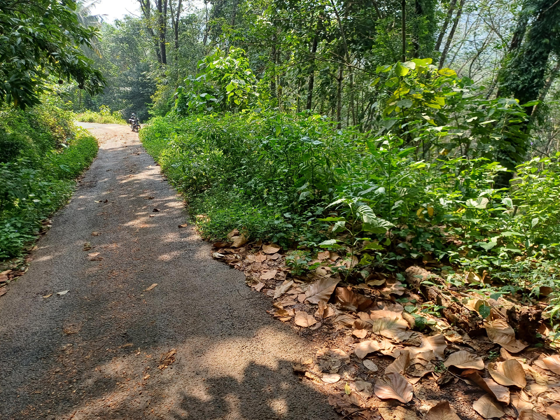 Agricultural Plot for sale at Mangattukavala, Thodupuzha