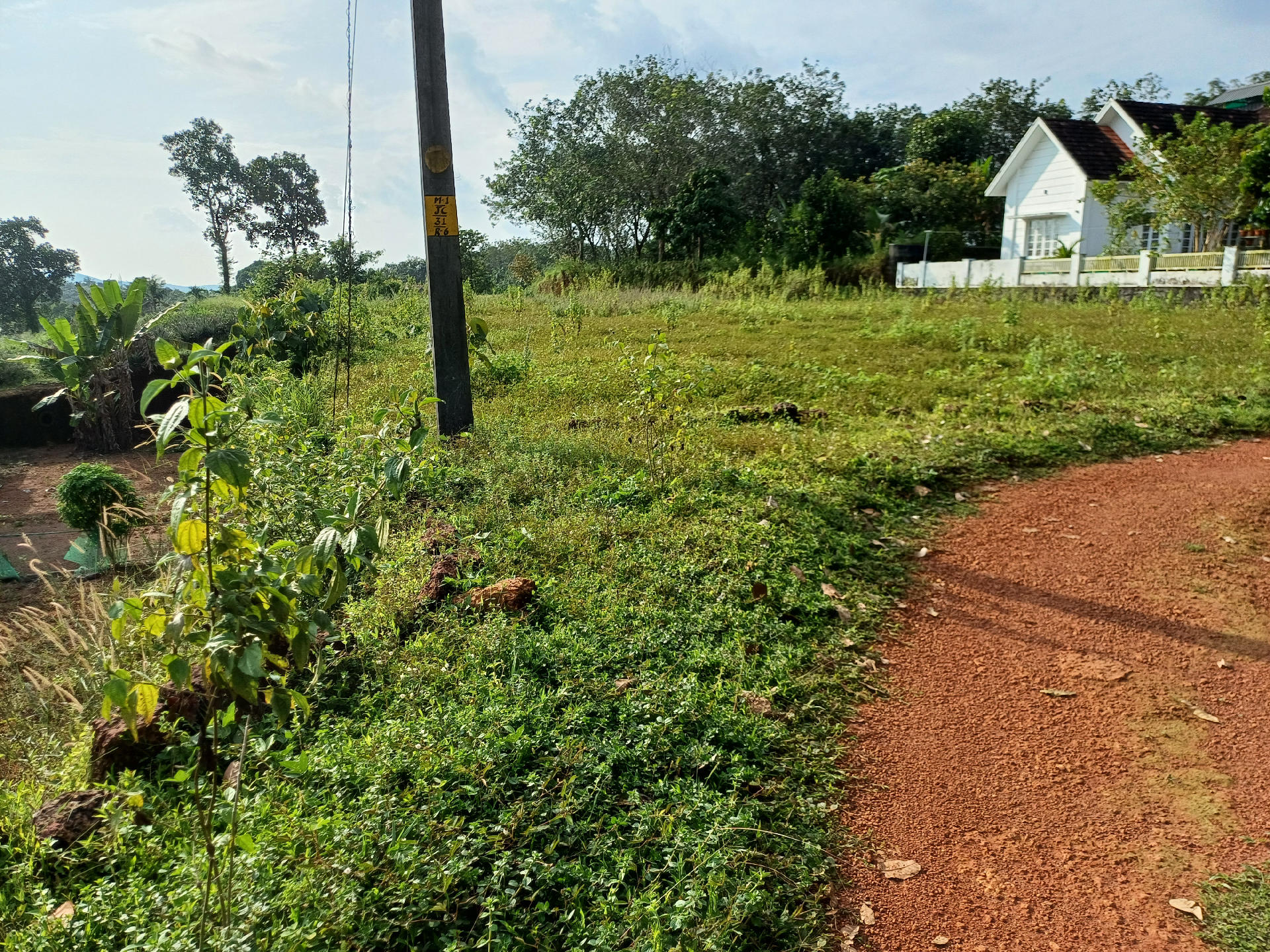 Land / House Plot for sale at Thottumkalpeedika, Muvattupuzha