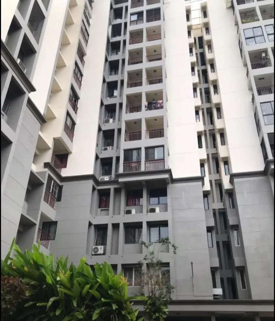 Flat/Apartment for rent at Edappally, Kalamassery