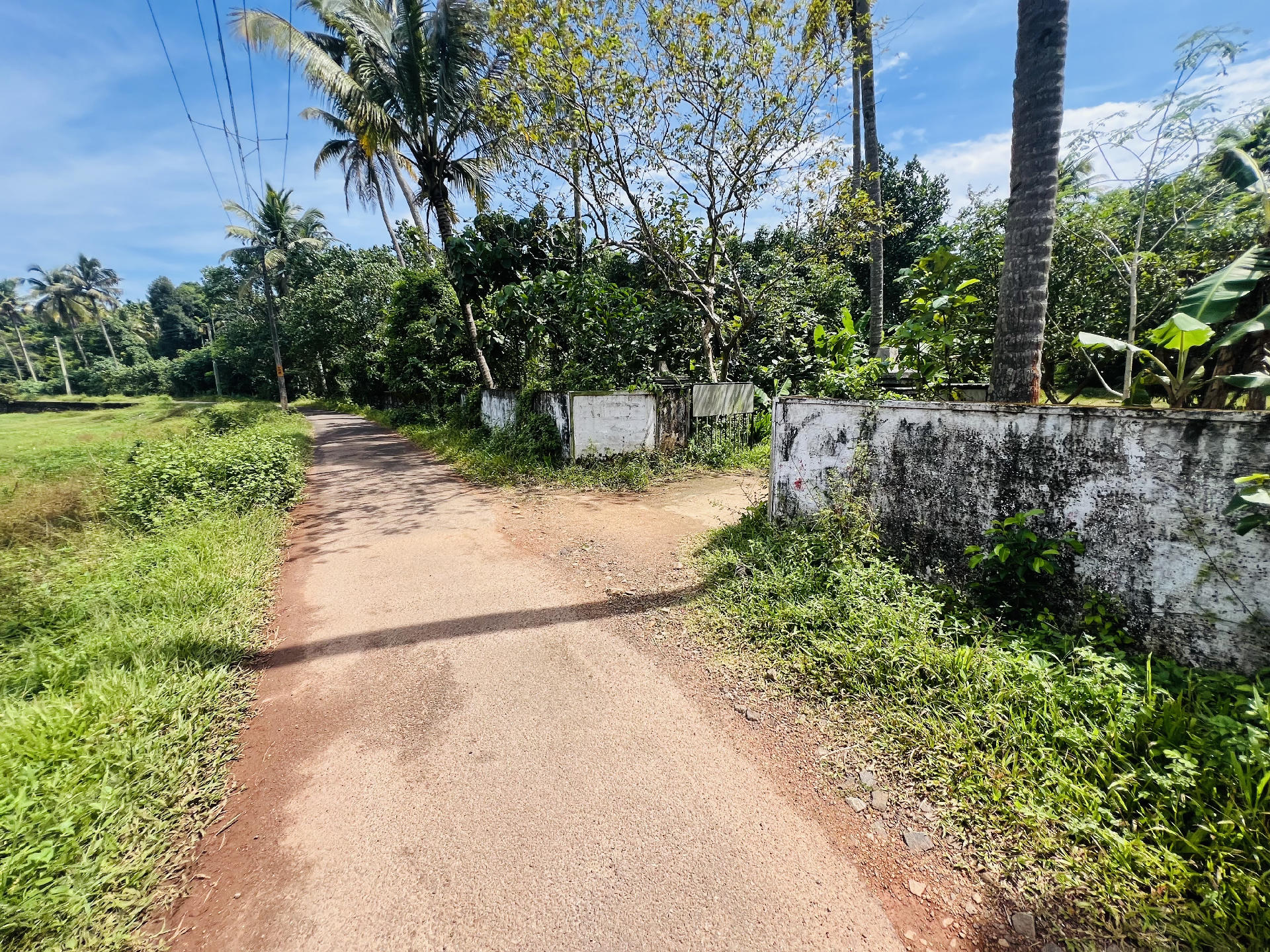 Land / House Plot for sale at Athani, Chengamanad