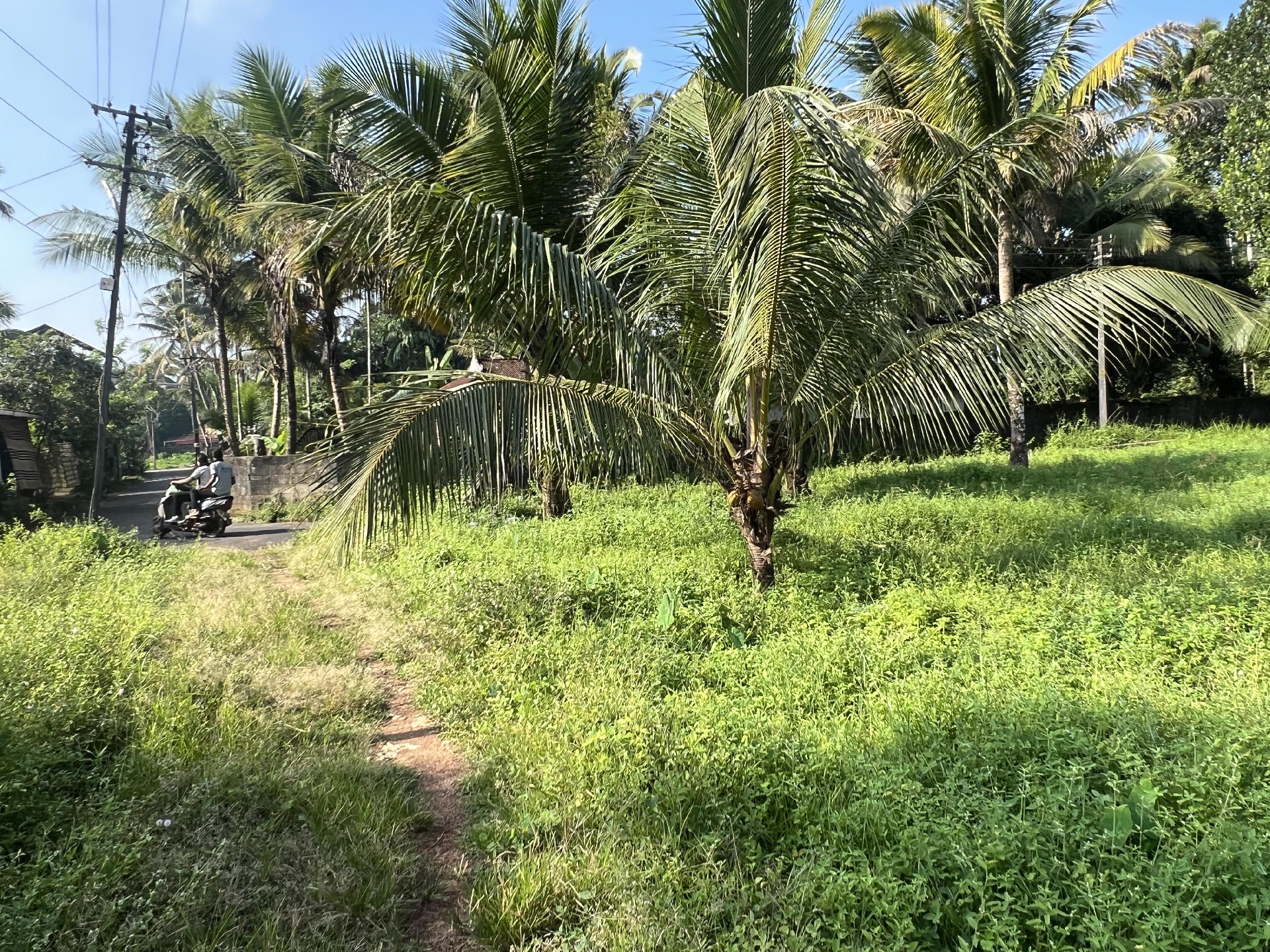 Land / House Plot for sale at Thottakkattukara, Kadungalloor