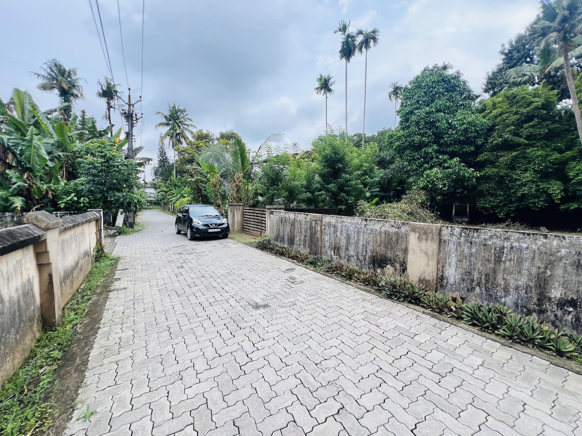 Land / House Plot for sale at , Chengamanad