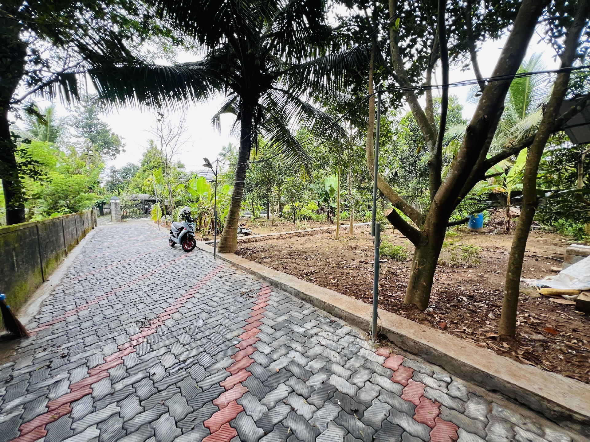 Land / House Plot for sale at Thottakkattukara, Aluva