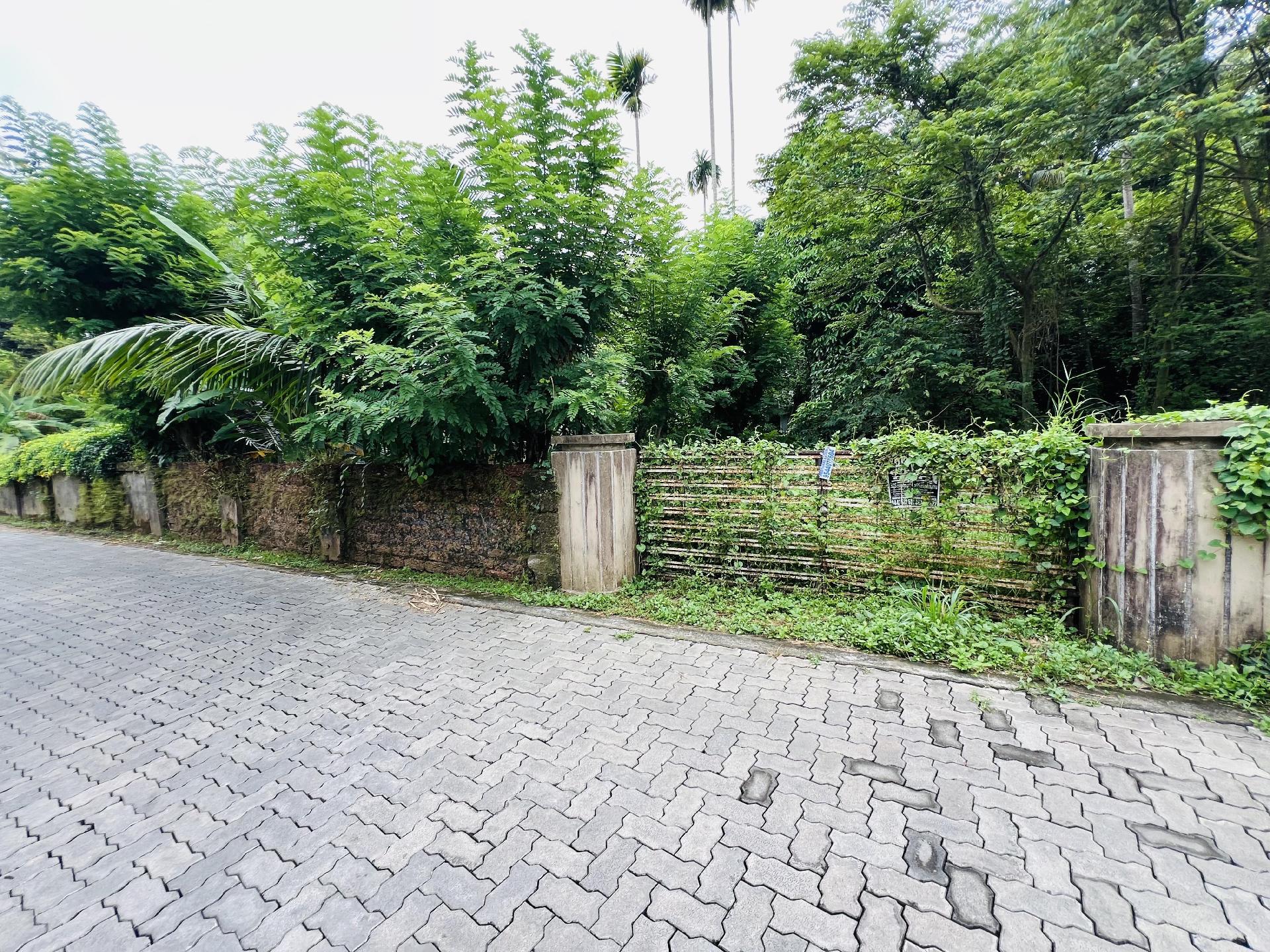 Land / House Plot for sale at , Chengamanad