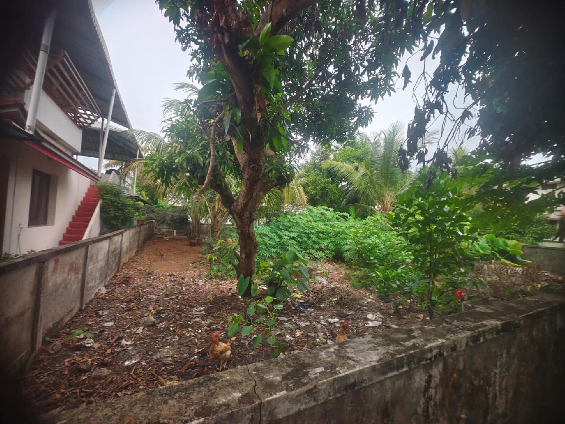 Land / House Plot for Sale