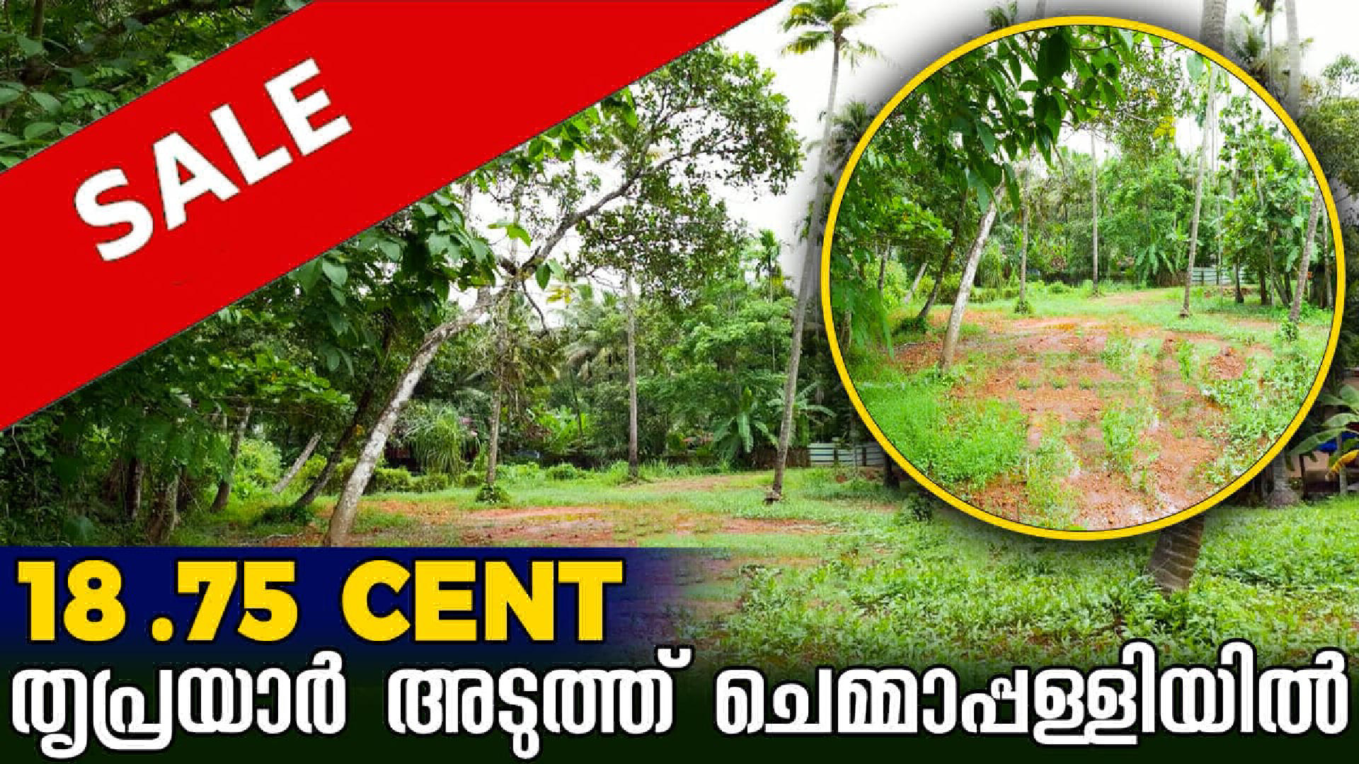 Land / House Plot for Sale