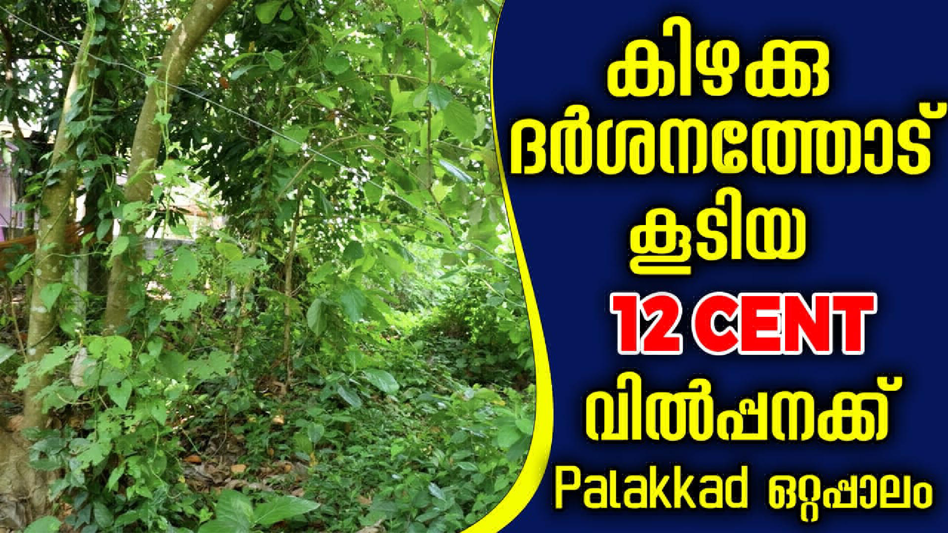 Land / House Plot for Sale