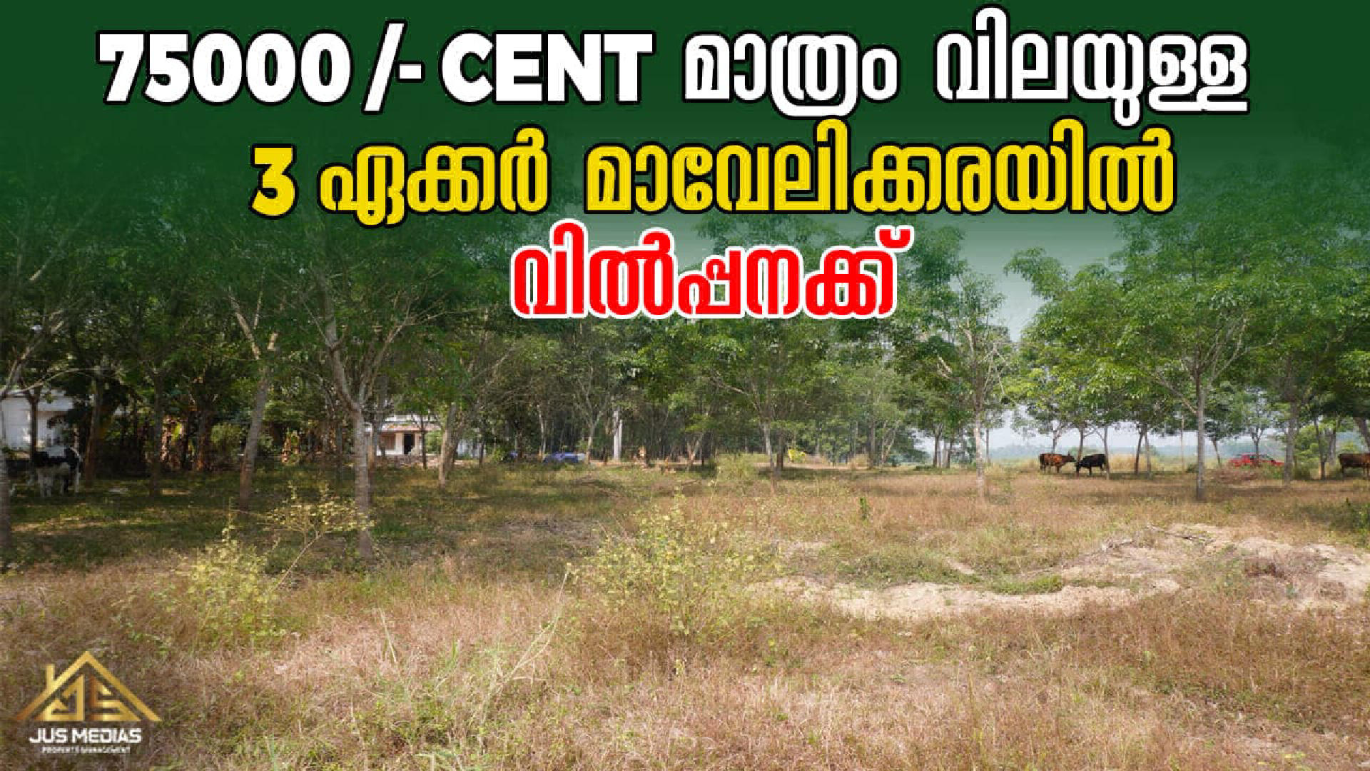 Land / House Plot for Sale